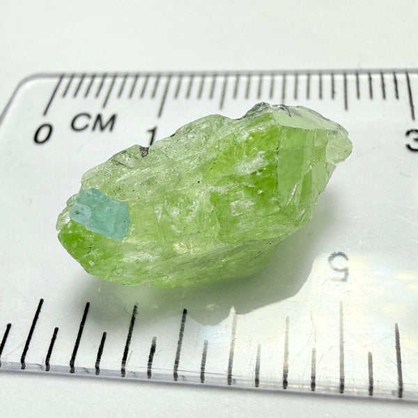Diopside Crystal with Apatite, 10.40ct, Merelani, Tanzania, Untreated Unheated