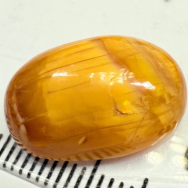 Cats-Eye Opal, 9.43ct, Tanzania, Untreated Unheated