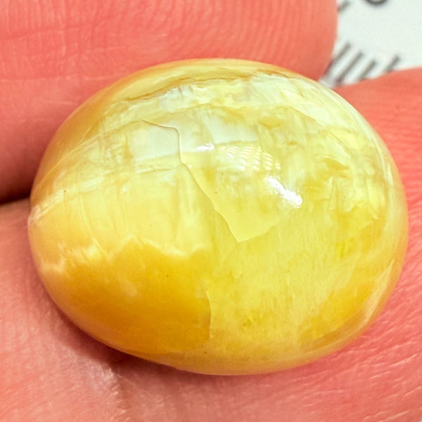 Cats-Eye Opal, 10.04ct, Tanzania, Untreated Unheated