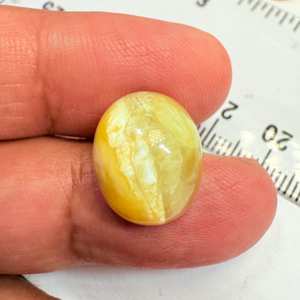 Cats-Eye Opal, 10.04ct, Tanzania, Untreated Unheated