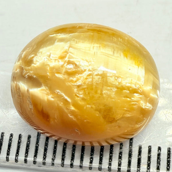 Cats-Eye Opal, 8.39ct, Tanzania, Untreated Unheated