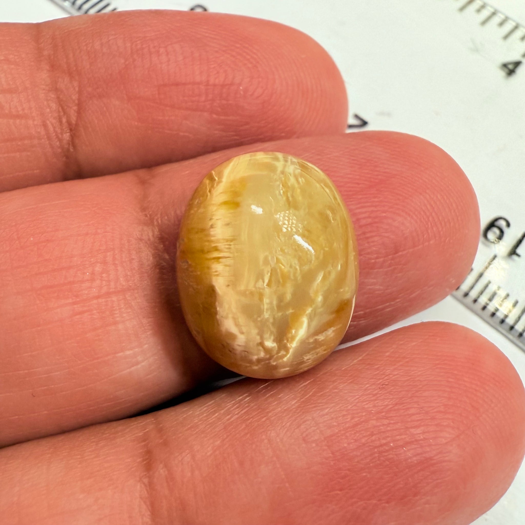 Cats-Eye Opal, 8.39ct, Tanzania, Untreated Unheated