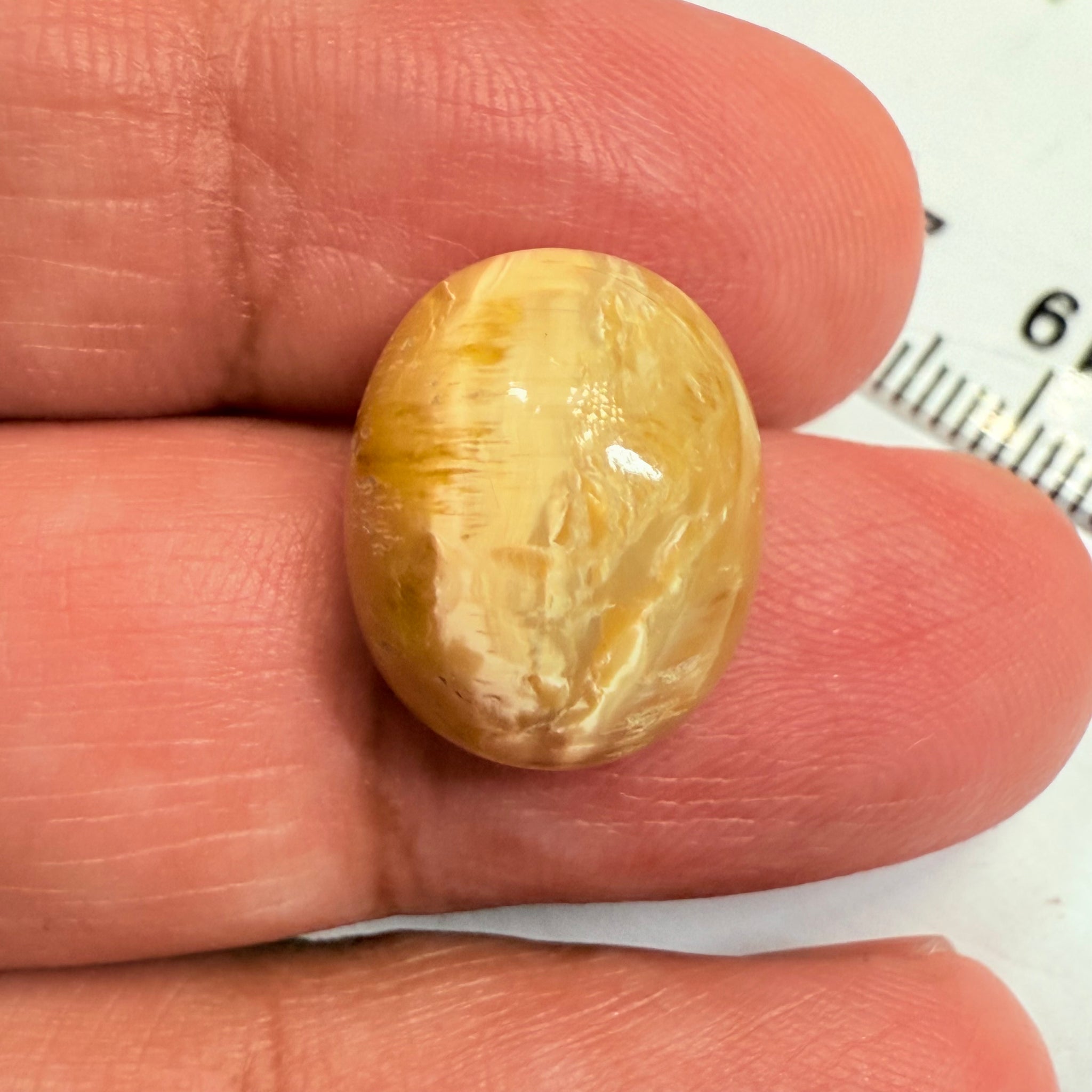 Cats-Eye Opal, 8.39ct, Tanzania, Untreated Unheated