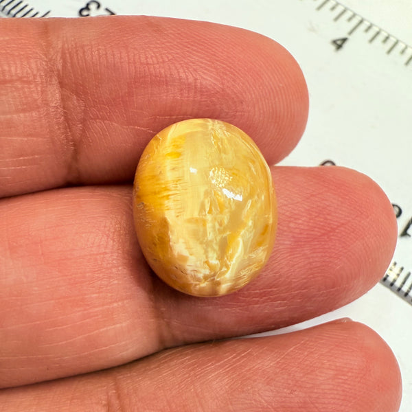 Cats-Eye Opal, 8.39ct, Tanzania, Untreated Unheated