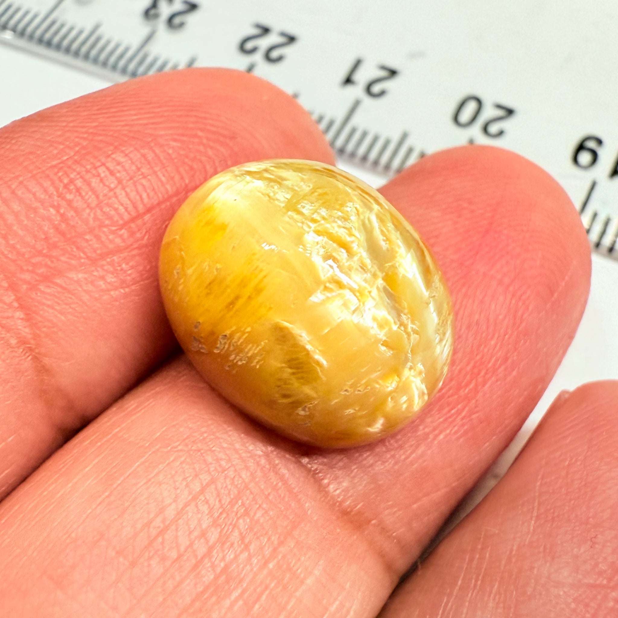 Cats-Eye Opal, 8.39ct, Tanzania, Untreated Unheated