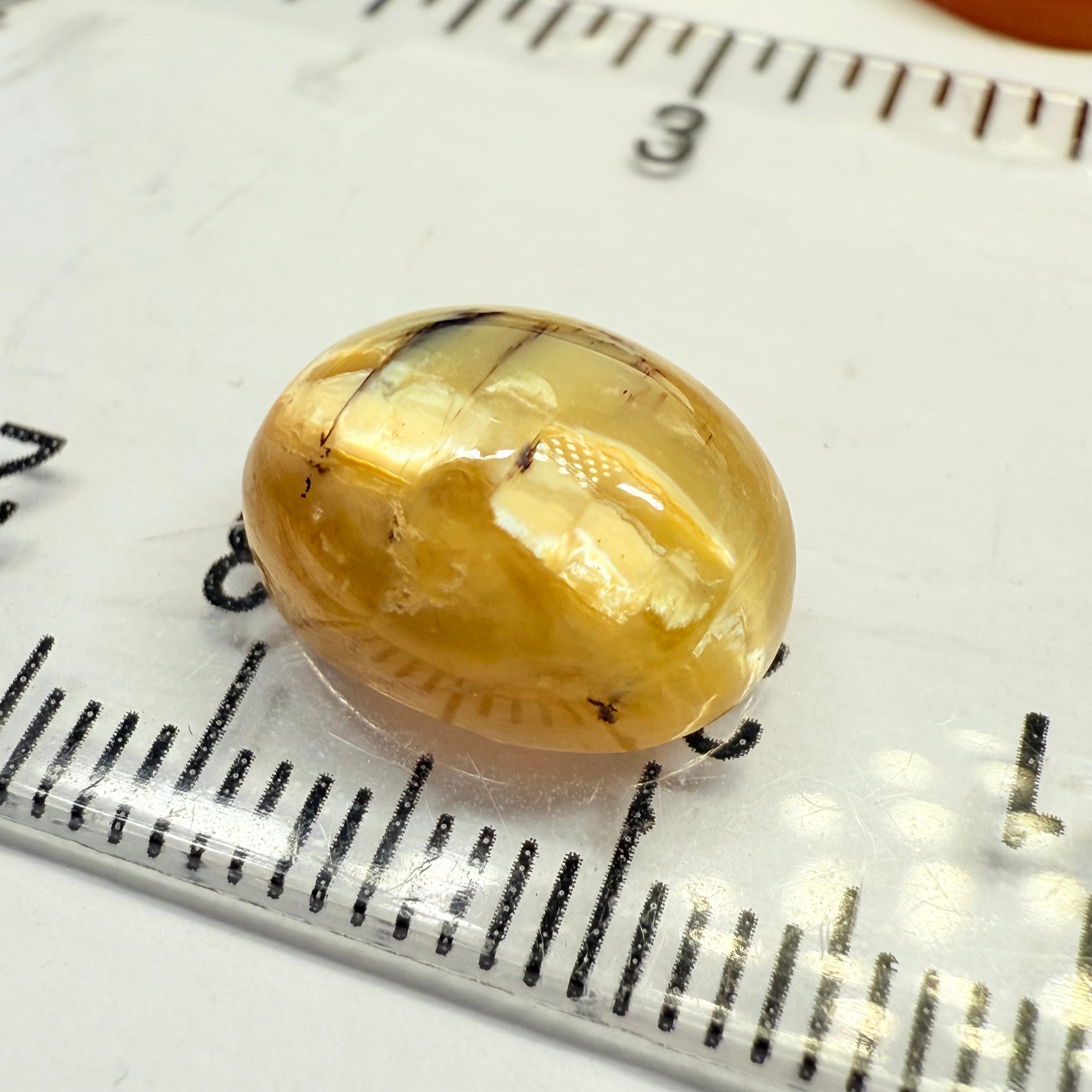 Cats-Eye Opal, 5.20ct, Tanzania, Untreated Unheated