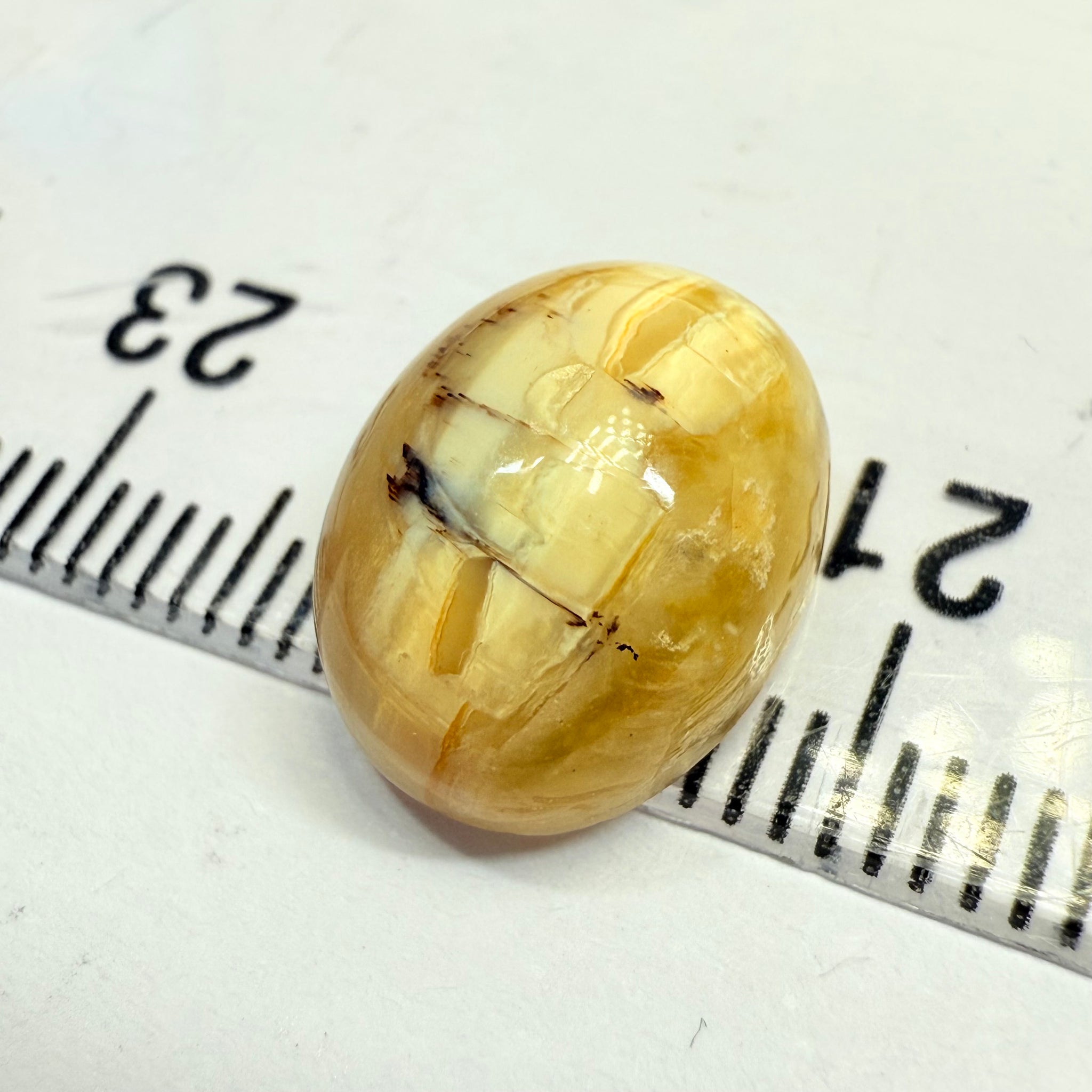 Cats-Eye Opal, 5.20ct, Tanzania, Untreated Unheated