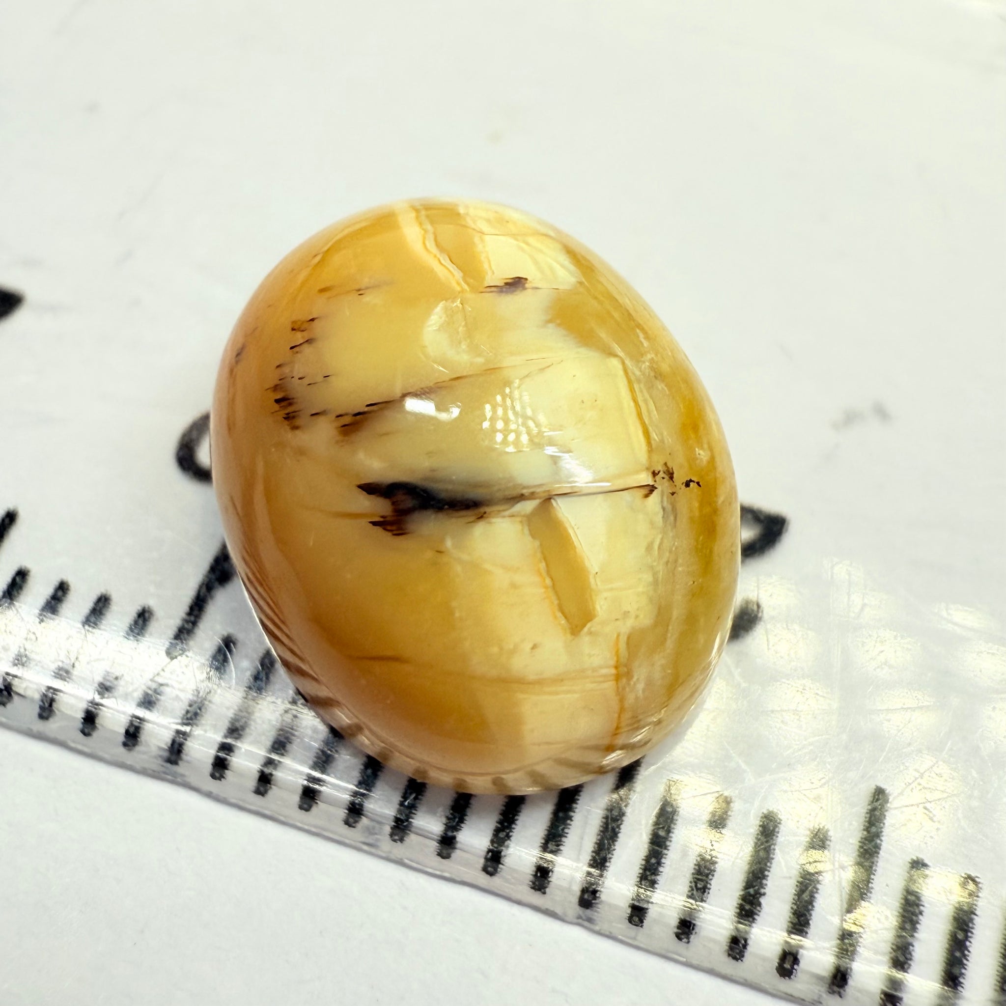 Cats-Eye Opal, 5.20ct, Tanzania, Untreated Unheated