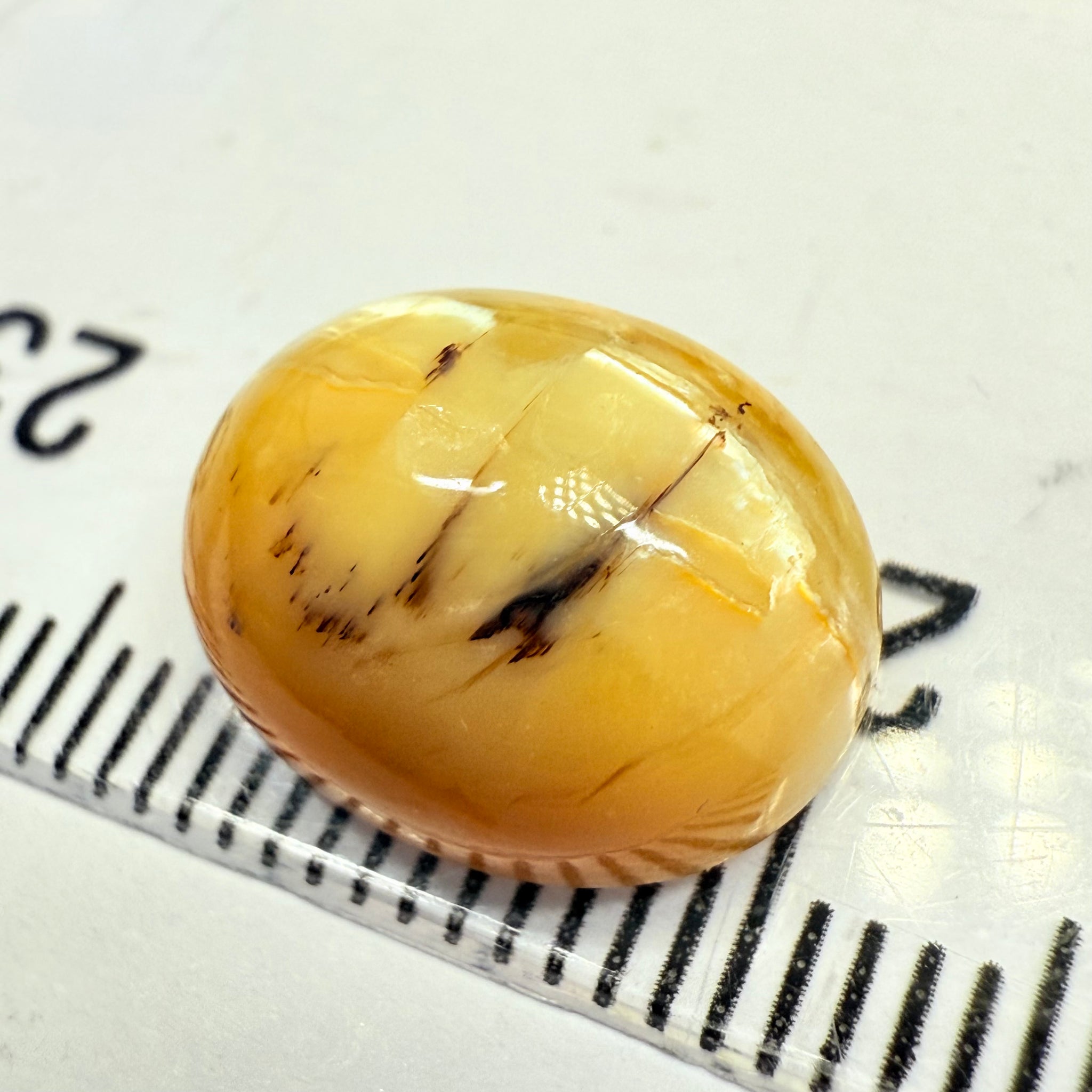 Cats-Eye Opal, 5.20ct, Tanzania, Untreated Unheated