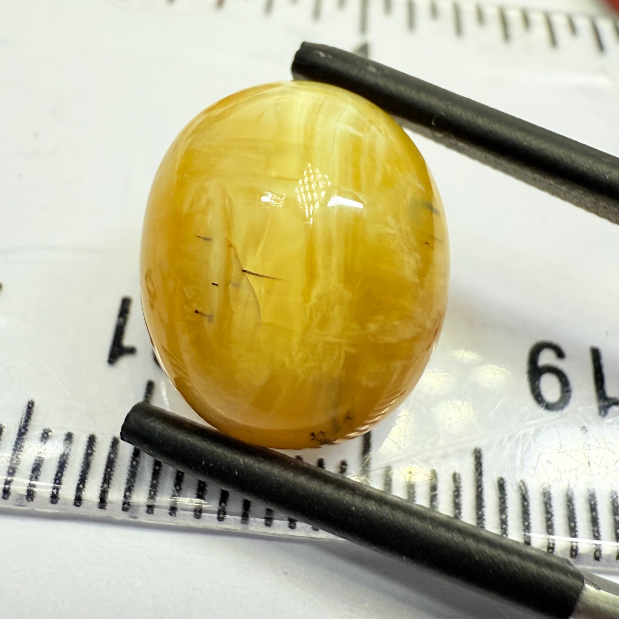 Cats-Eye Opal, 10.15ct, Tanzania, Untreated Unheated