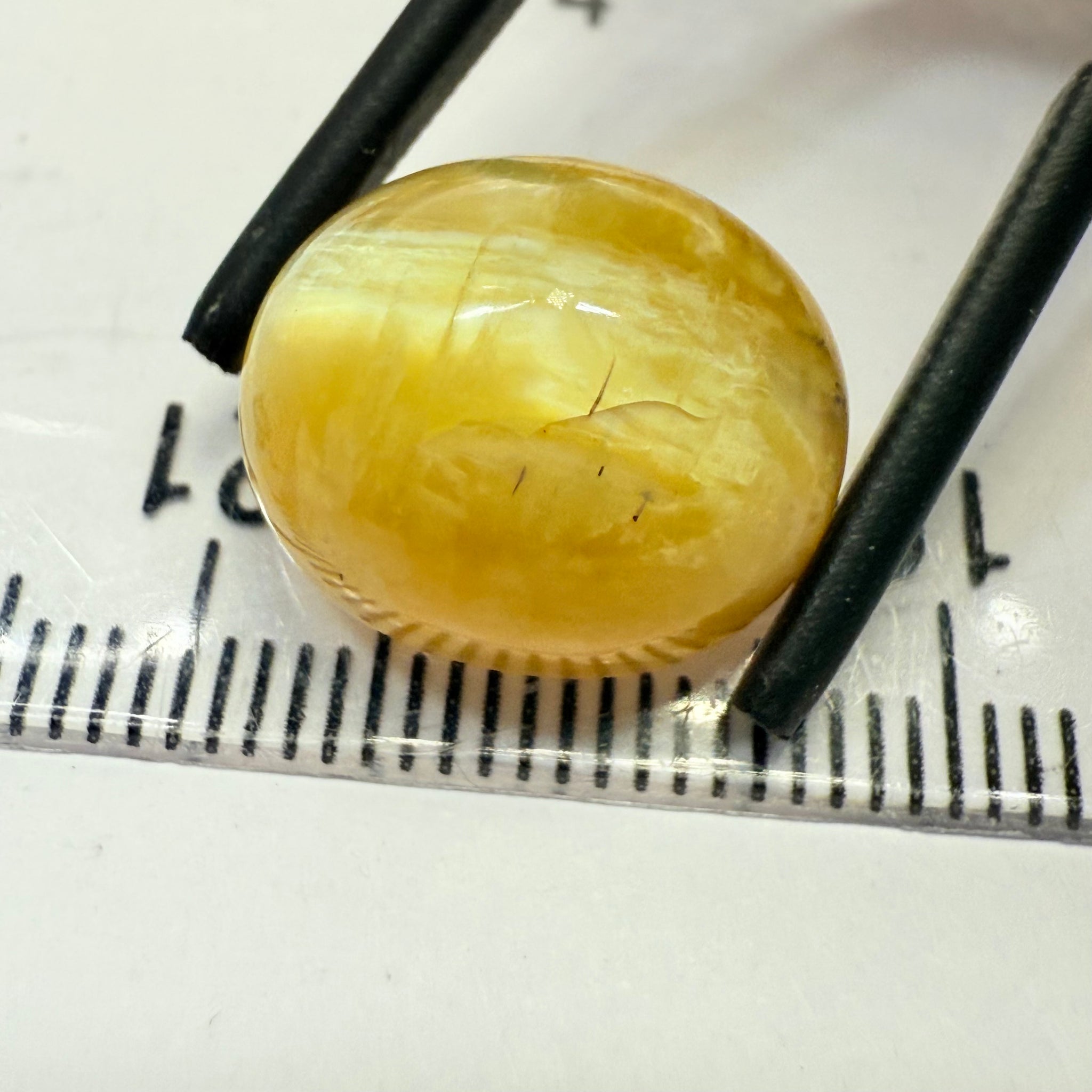 Cats-Eye Opal, 10.15ct, Tanzania, Untreated Unheated