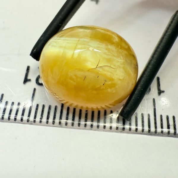 Cats-Eye Opal, 10.15ct, Tanzania, Untreated Unheated