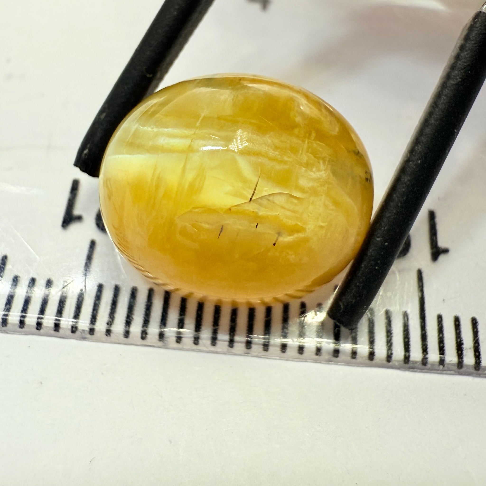 Cats-Eye Opal, 10.15ct, Tanzania, Untreated Unheated