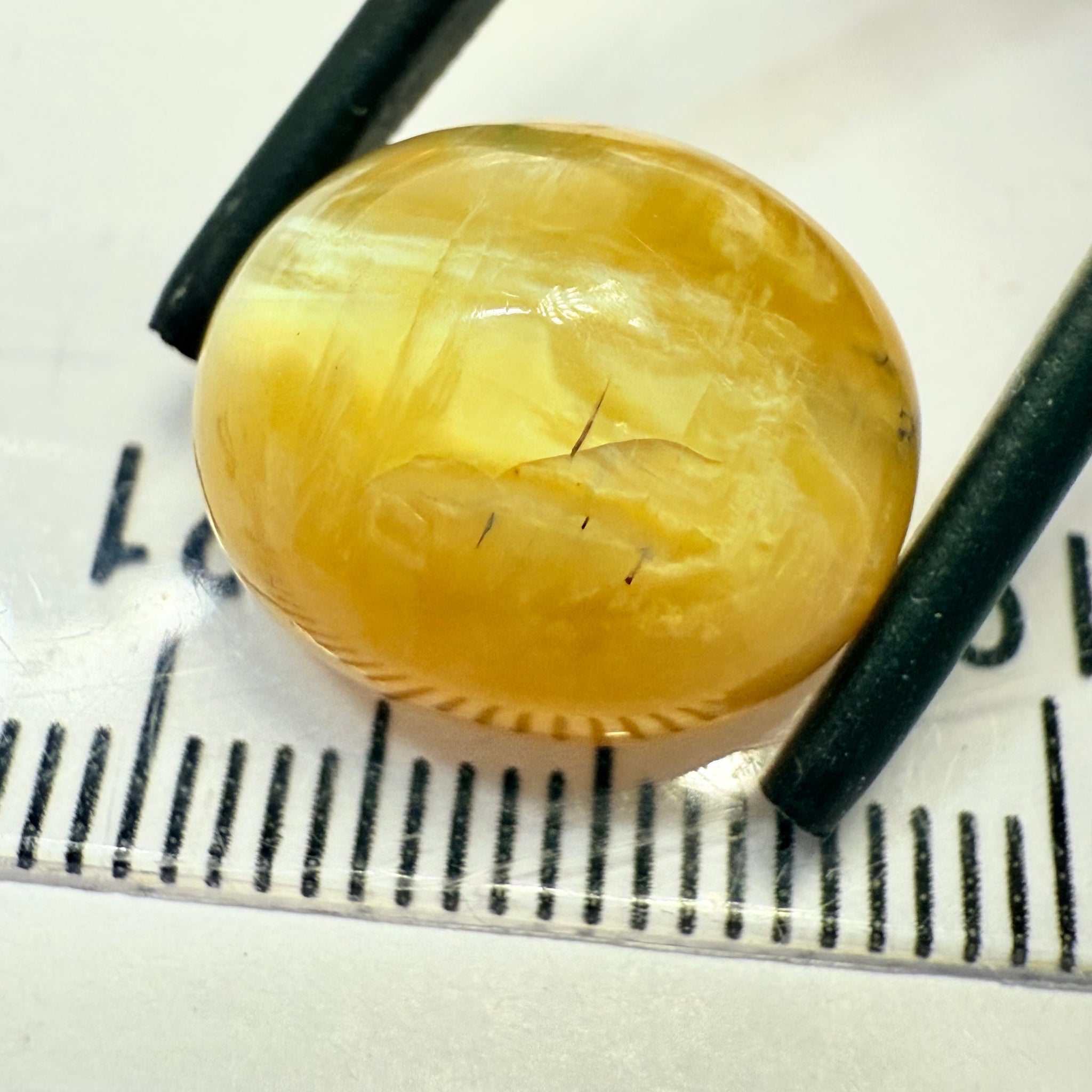 Cats-Eye Opal, 10.15ct, Tanzania, Untreated Unheated