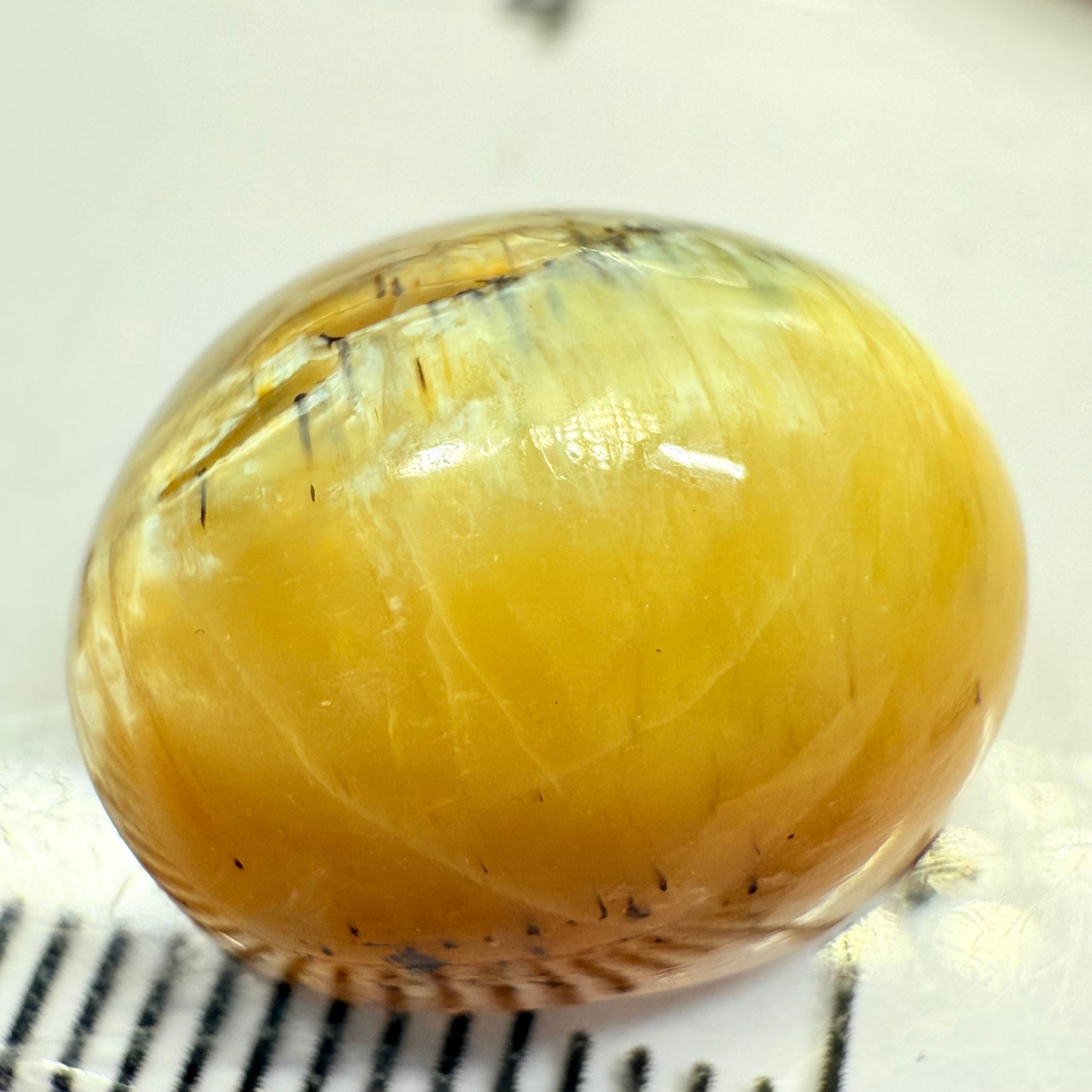 Cats-Eye Opal, 10.47ct, Tanzania, Untreated Unheated