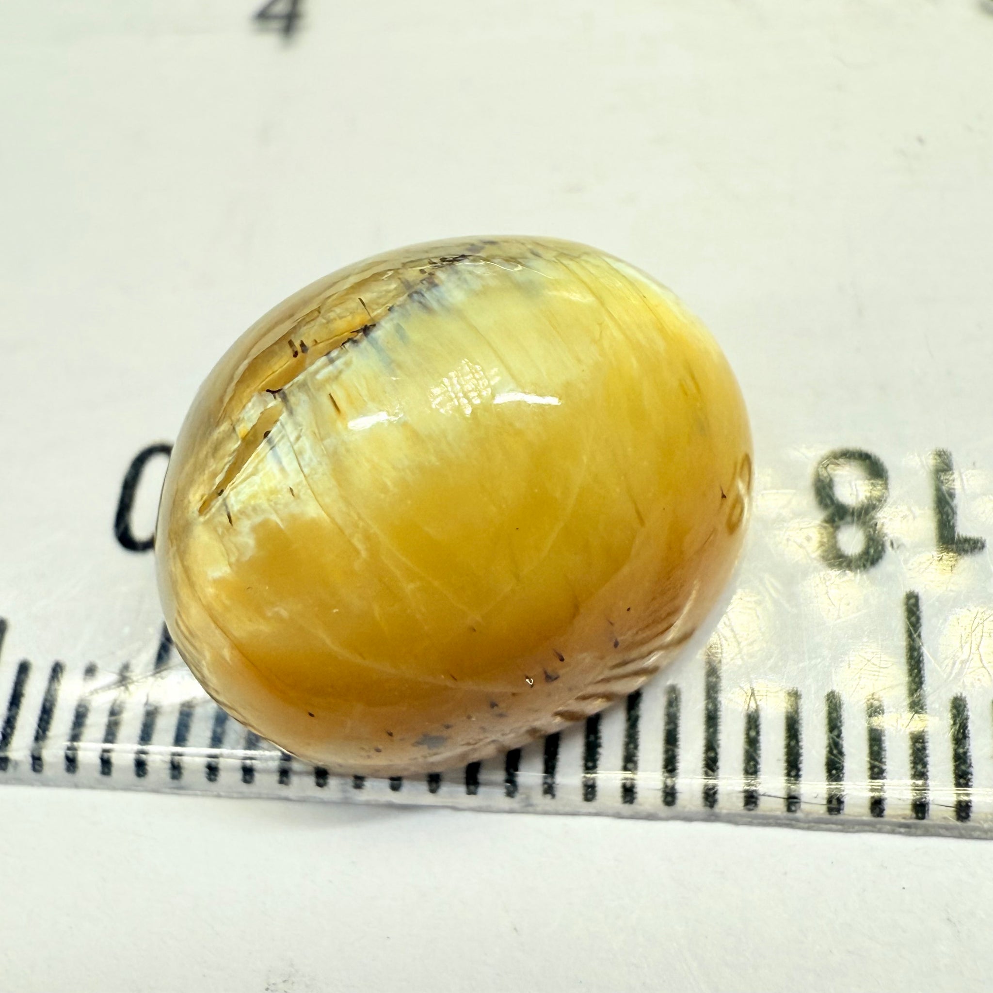 Cats-Eye Opal, 10.47ct, Tanzania, Untreated Unheated