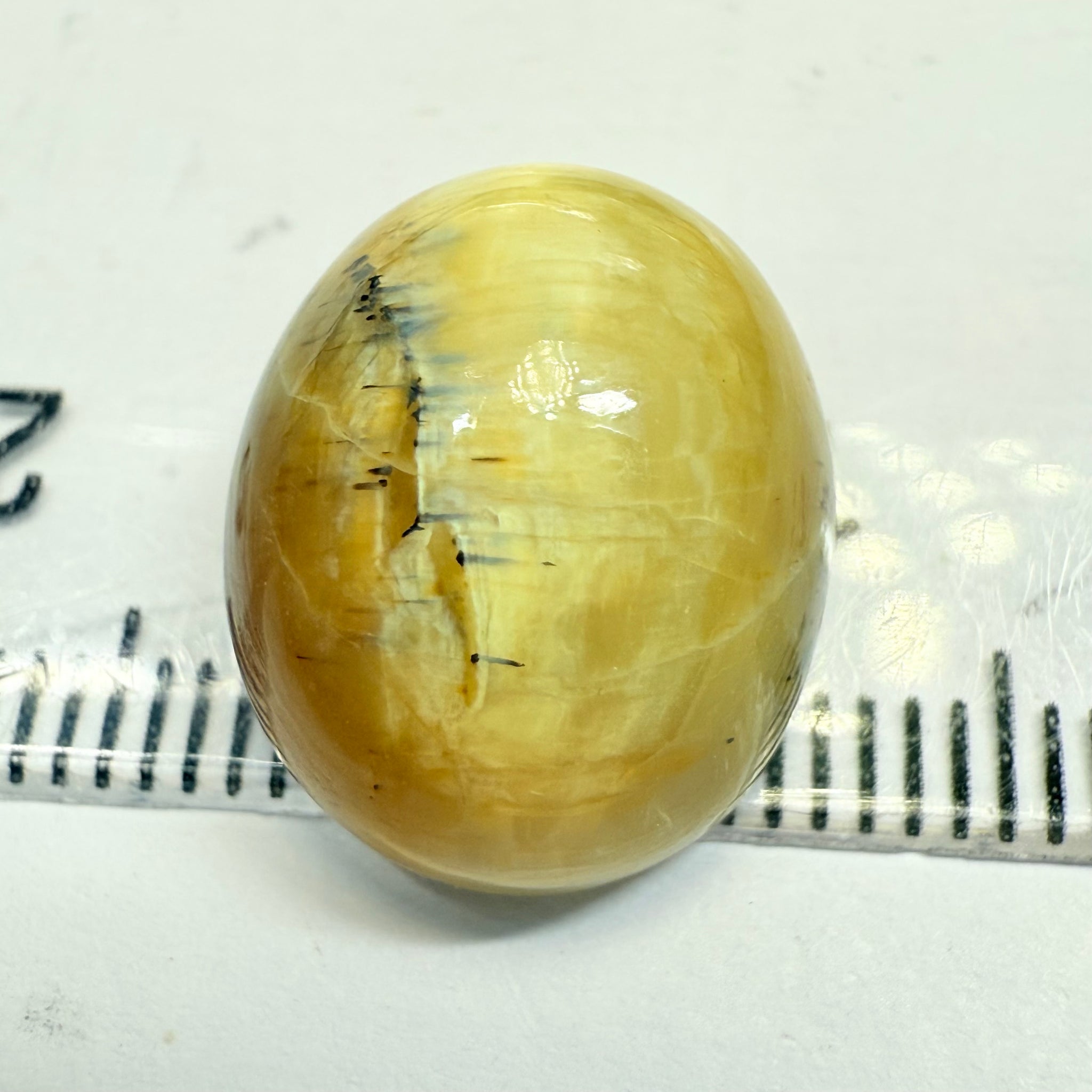 Cats-Eye Opal, 10.47ct, Tanzania, Untreated Unheated