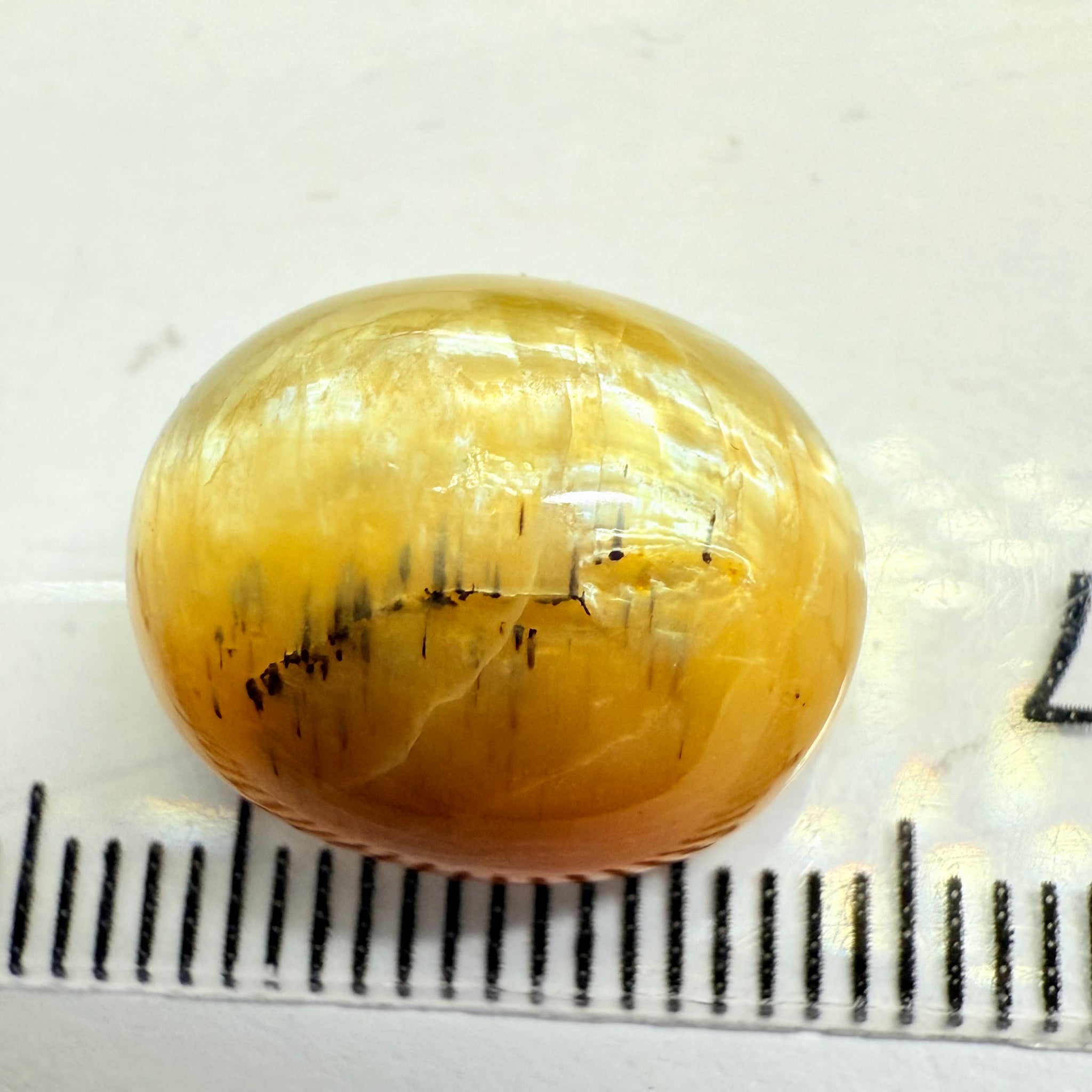 Cats-Eye Opal, 10.47ct, Tanzania, Untreated Unheated