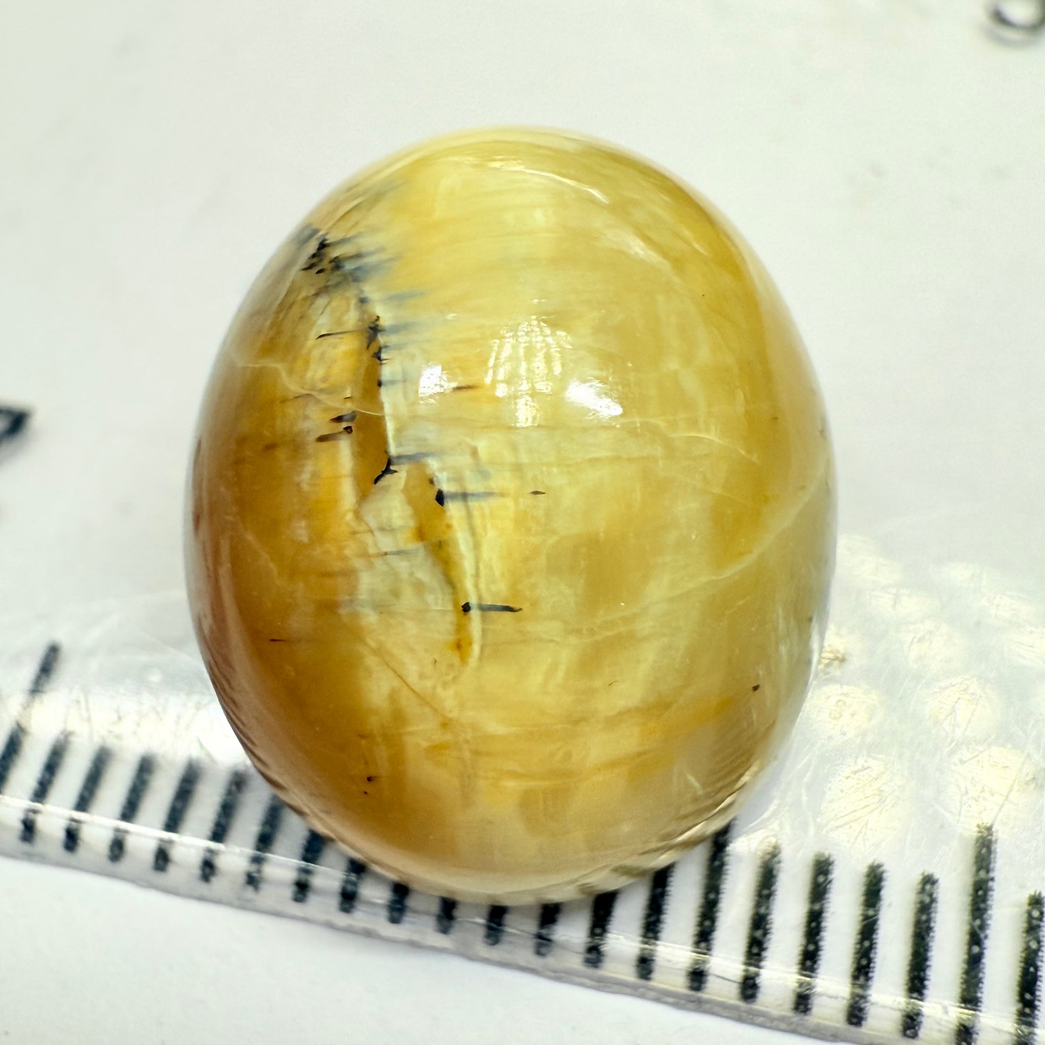 Cats-Eye Opal, 10.47ct, Tanzania, Untreated Unheated