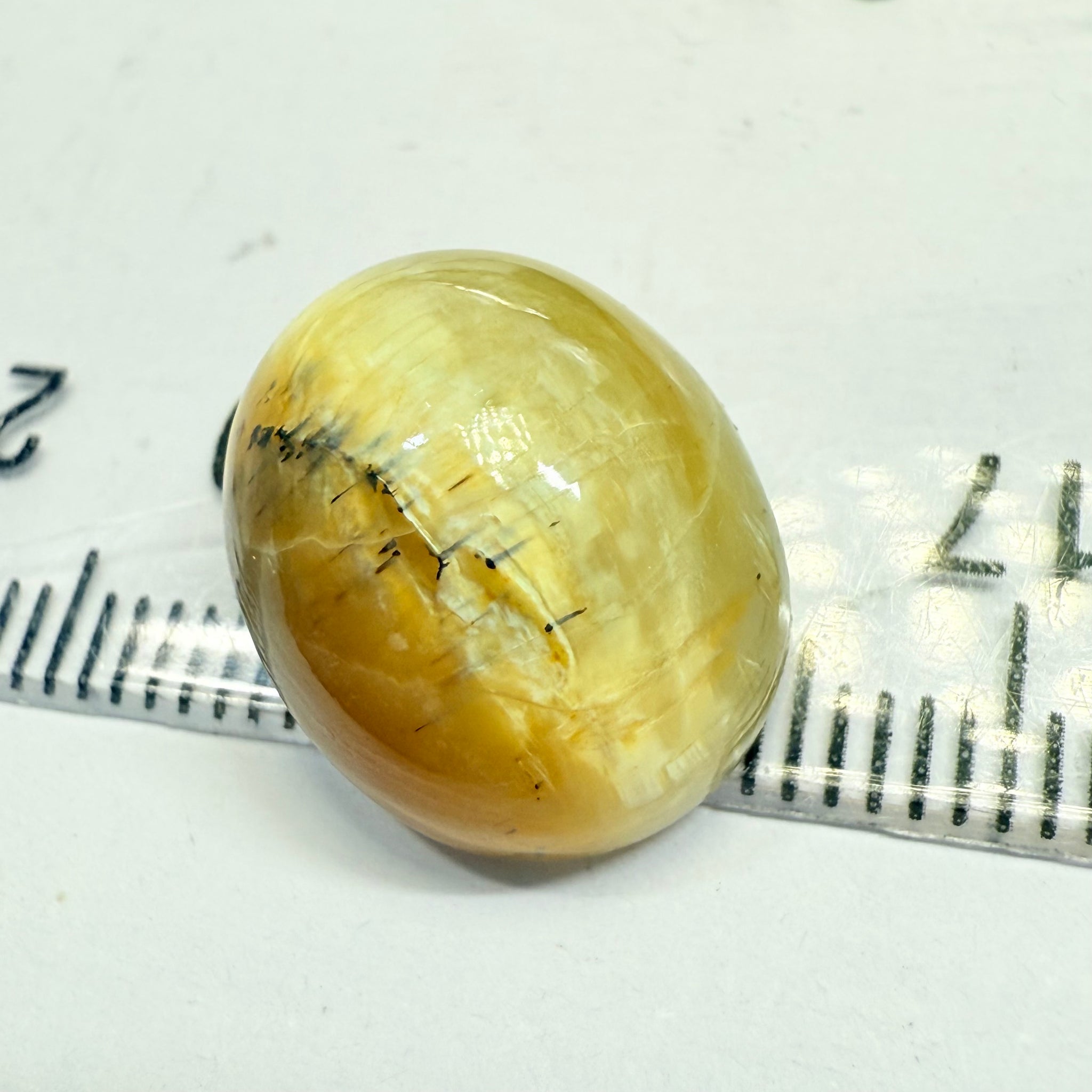 Cats-Eye Opal, 10.47ct, Tanzania, Untreated Unheated