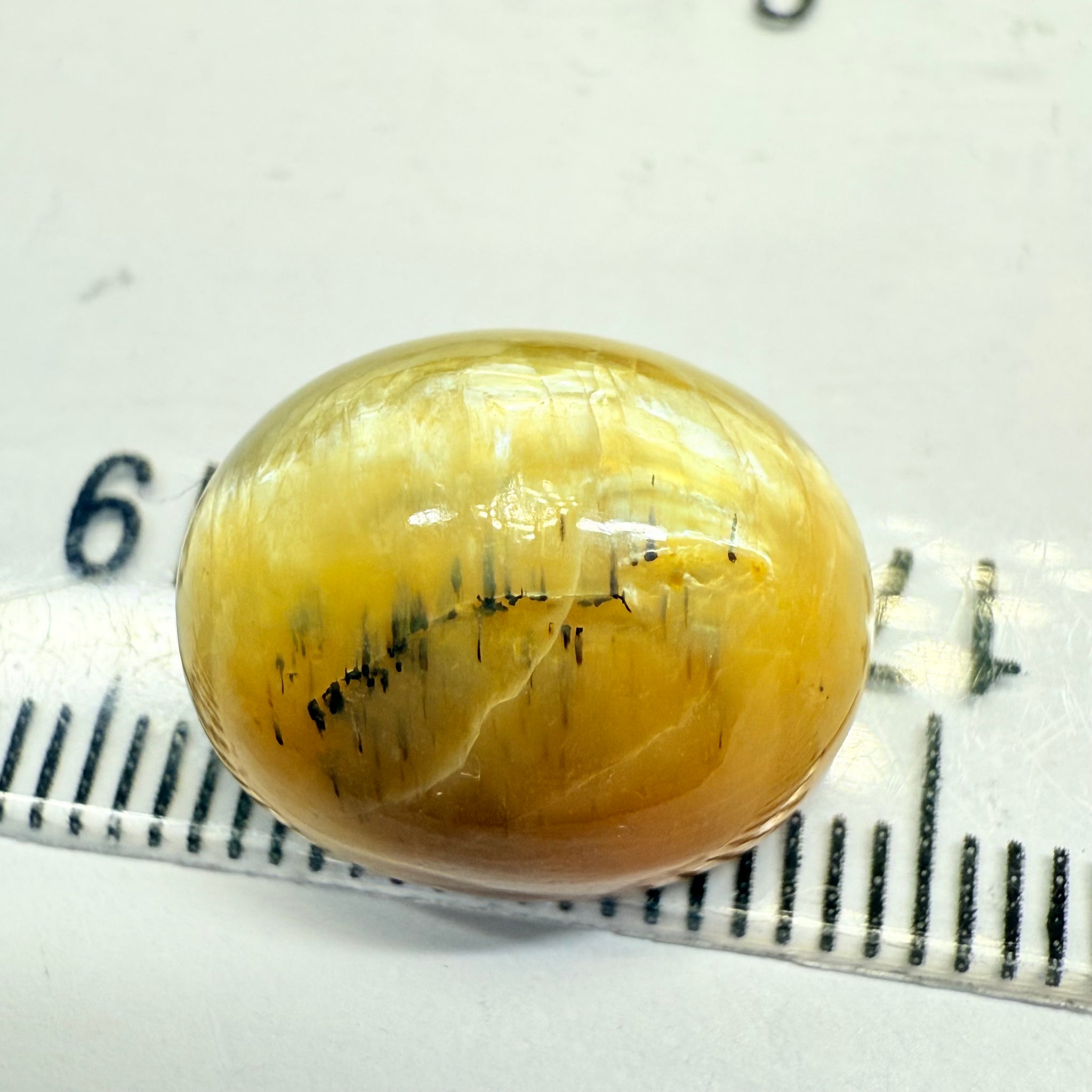 Cats-Eye Opal, 10.47ct, Tanzania, Untreated Unheated