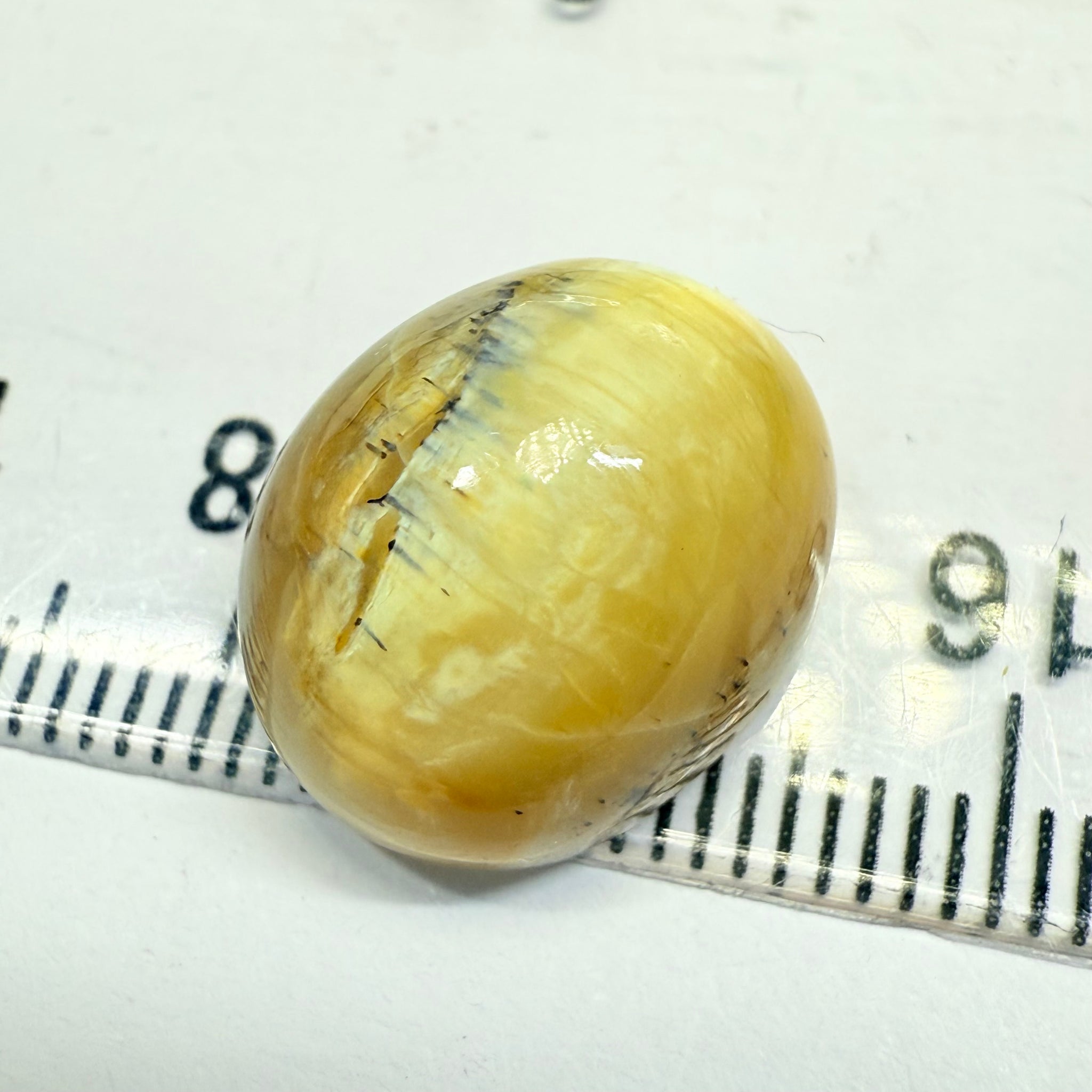 Cats-Eye Opal, 10.47ct, Tanzania, Untreated Unheated