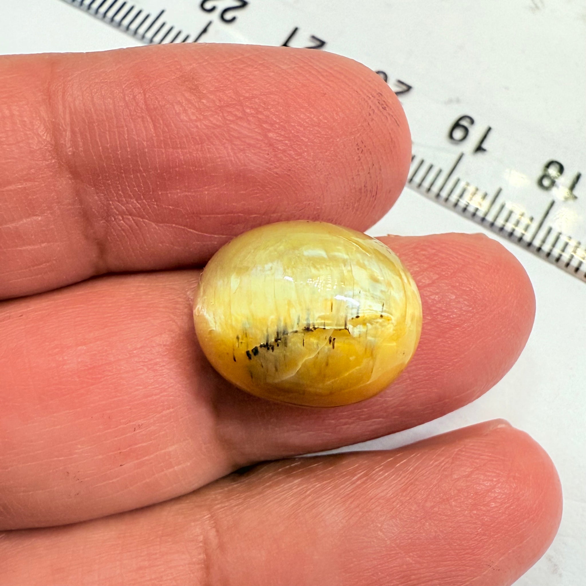 Cats-Eye Opal, 10.47ct, Tanzania, Untreated Unheated