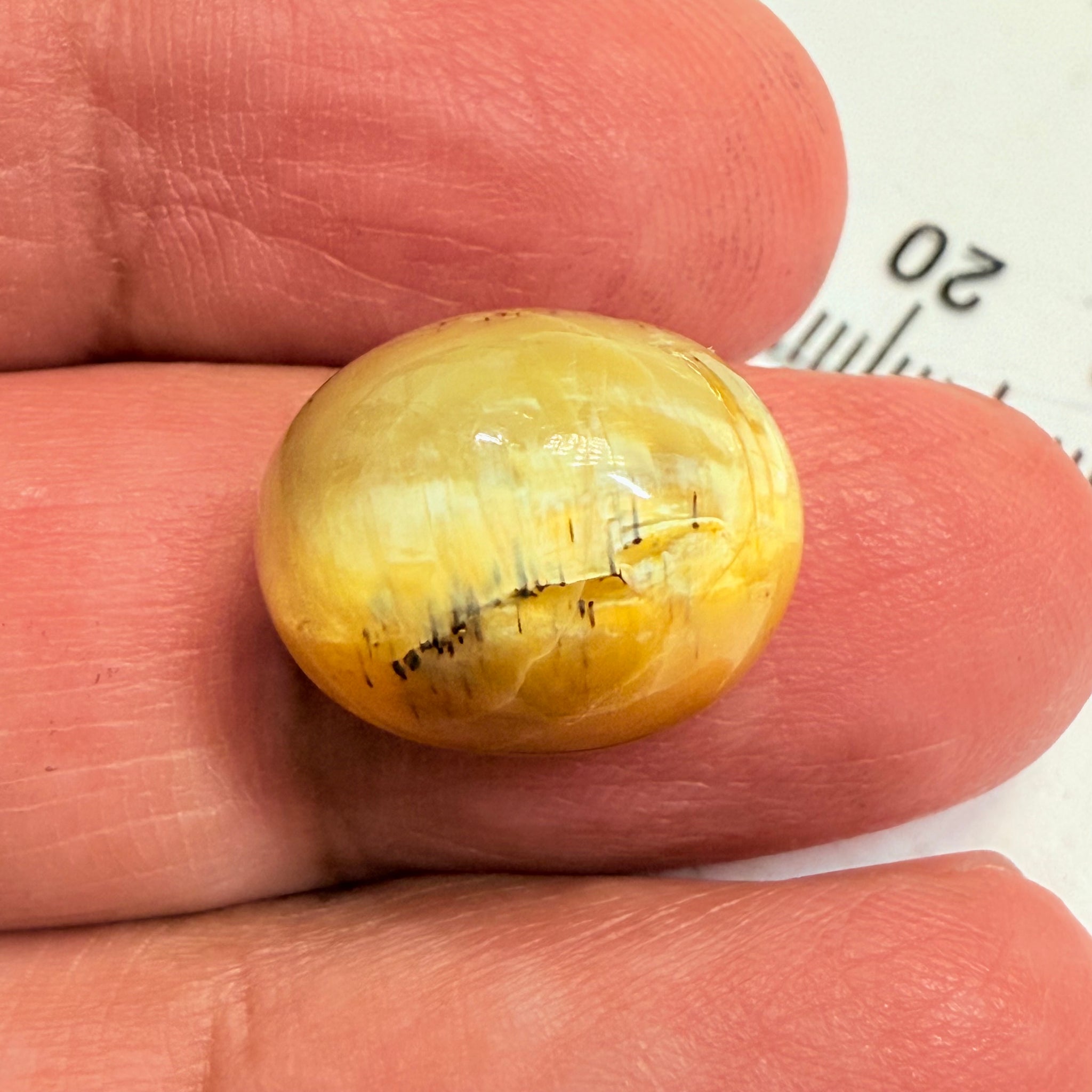 Cats-Eye Opal, 10.47ct, Tanzania, Untreated Unheated