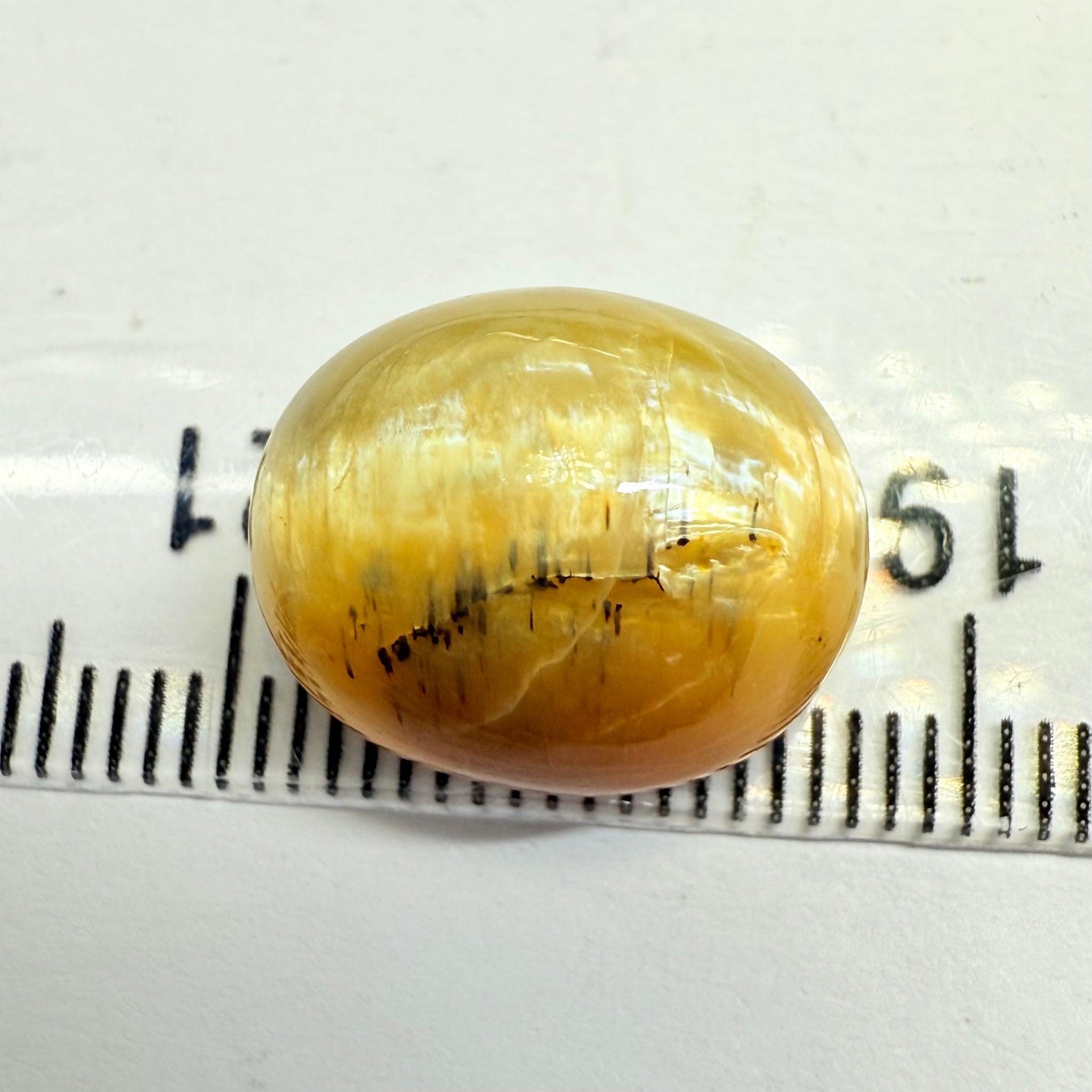 Cats-Eye Opal, 10.47ct, Tanzania, Untreated Unheated