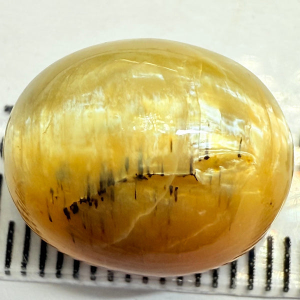 Cats-Eye Opal, 10.47ct, Tanzania, Untreated Unheated
