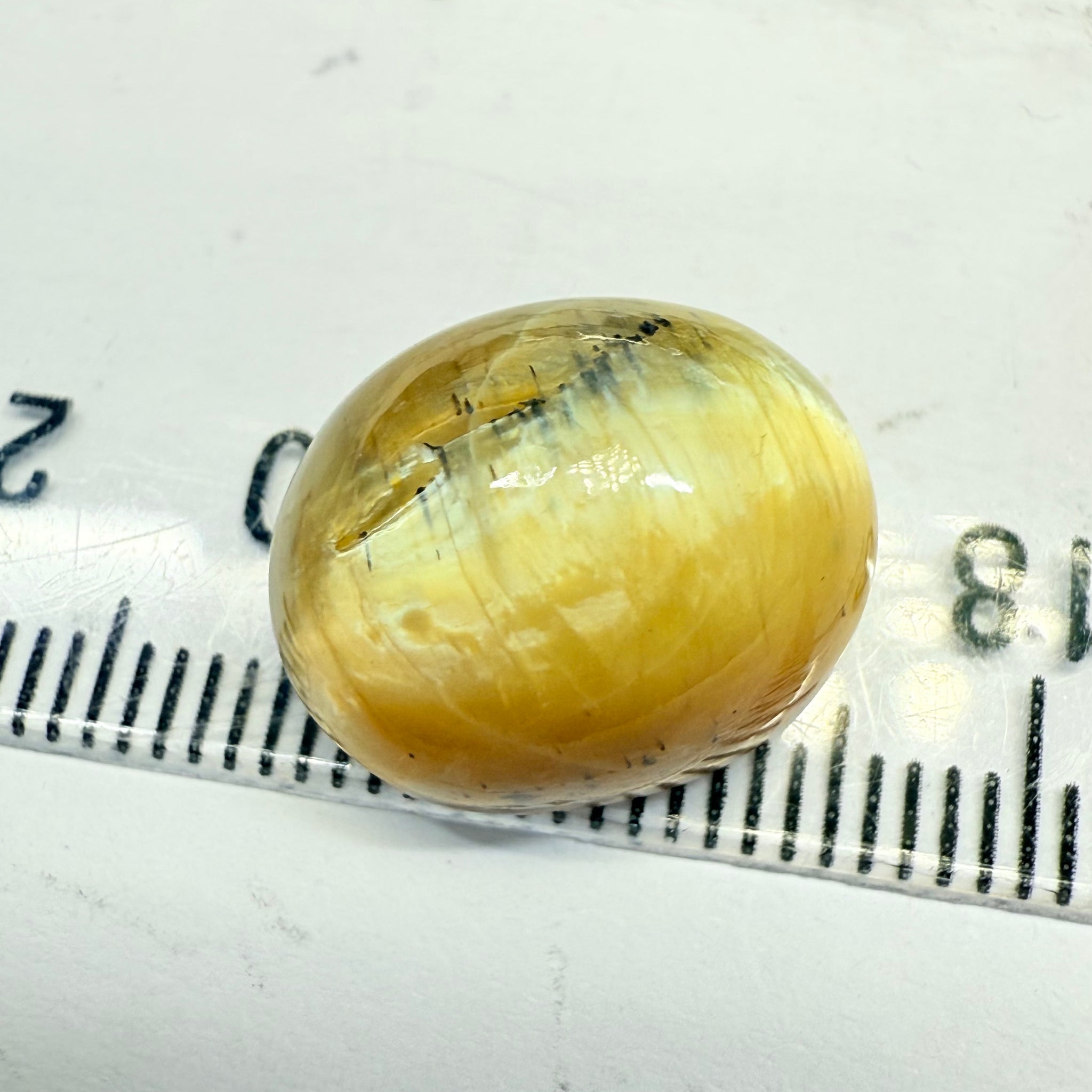 Cats-Eye Opal, 10.47ct, Tanzania, Untreated Unheated