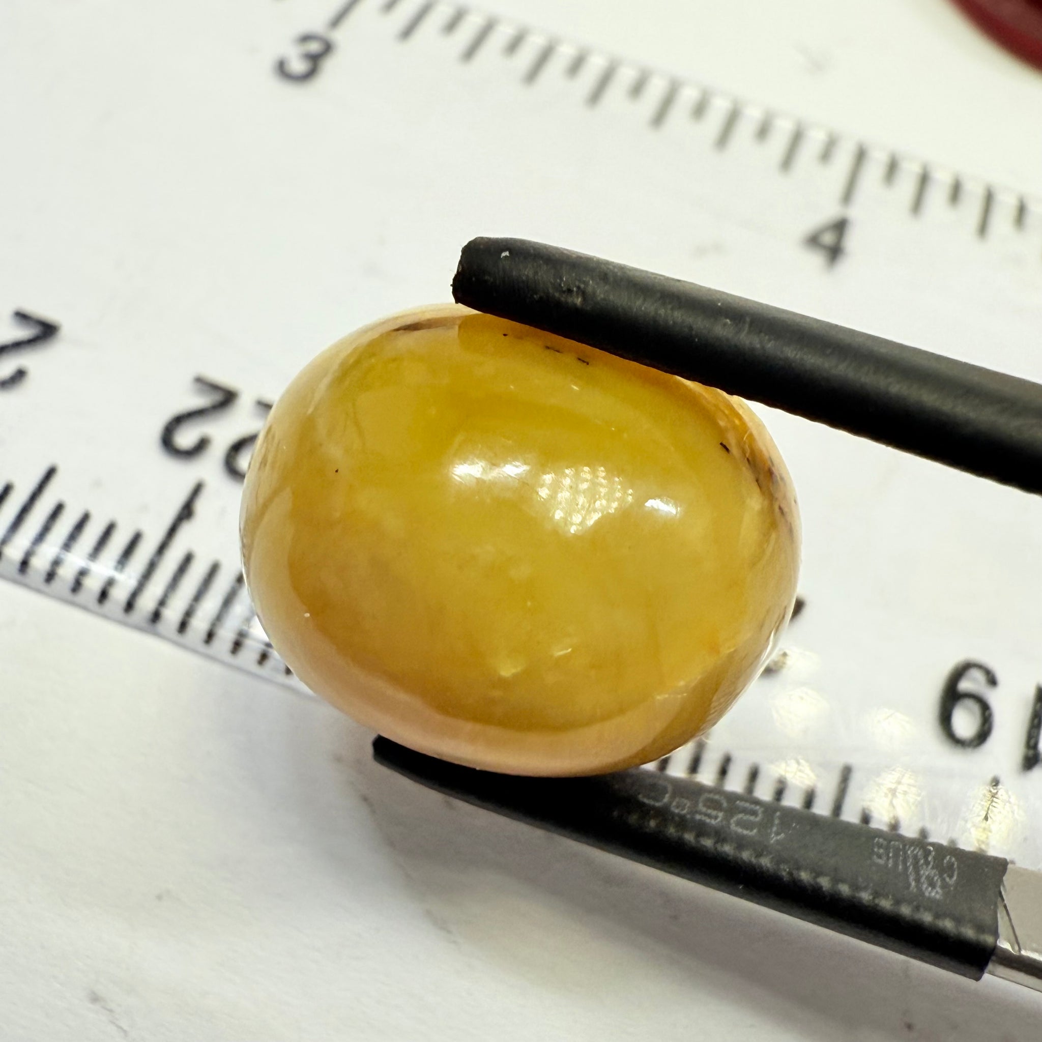 Cats-Eye Opal, 11.22ct, Tanzania, Untreated Unheated