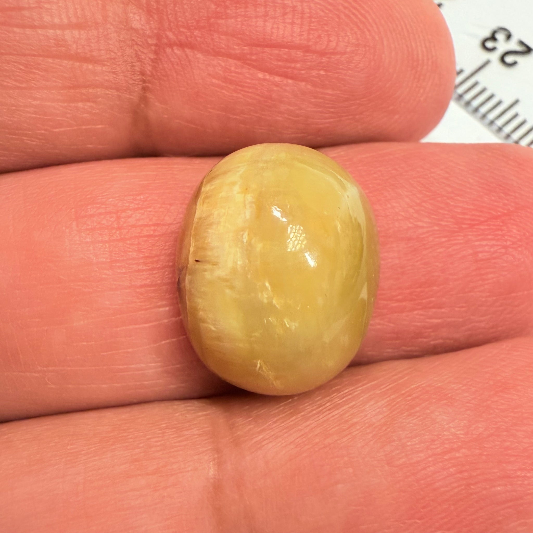 Cats-Eye Opal, 11.22ct, Tanzania, Untreated Unheated