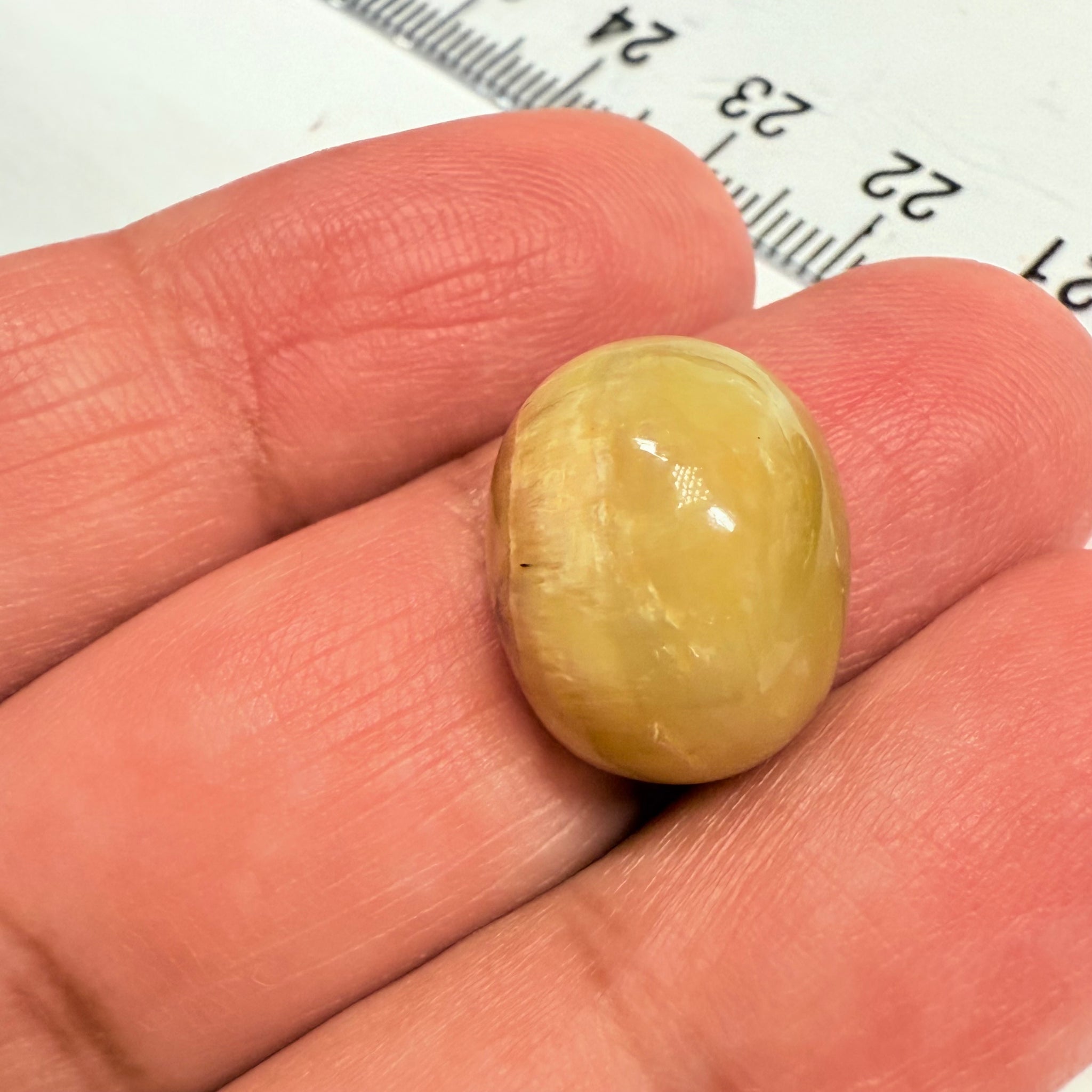 Cats-Eye Opal, 11.22ct, Tanzania, Untreated Unheated