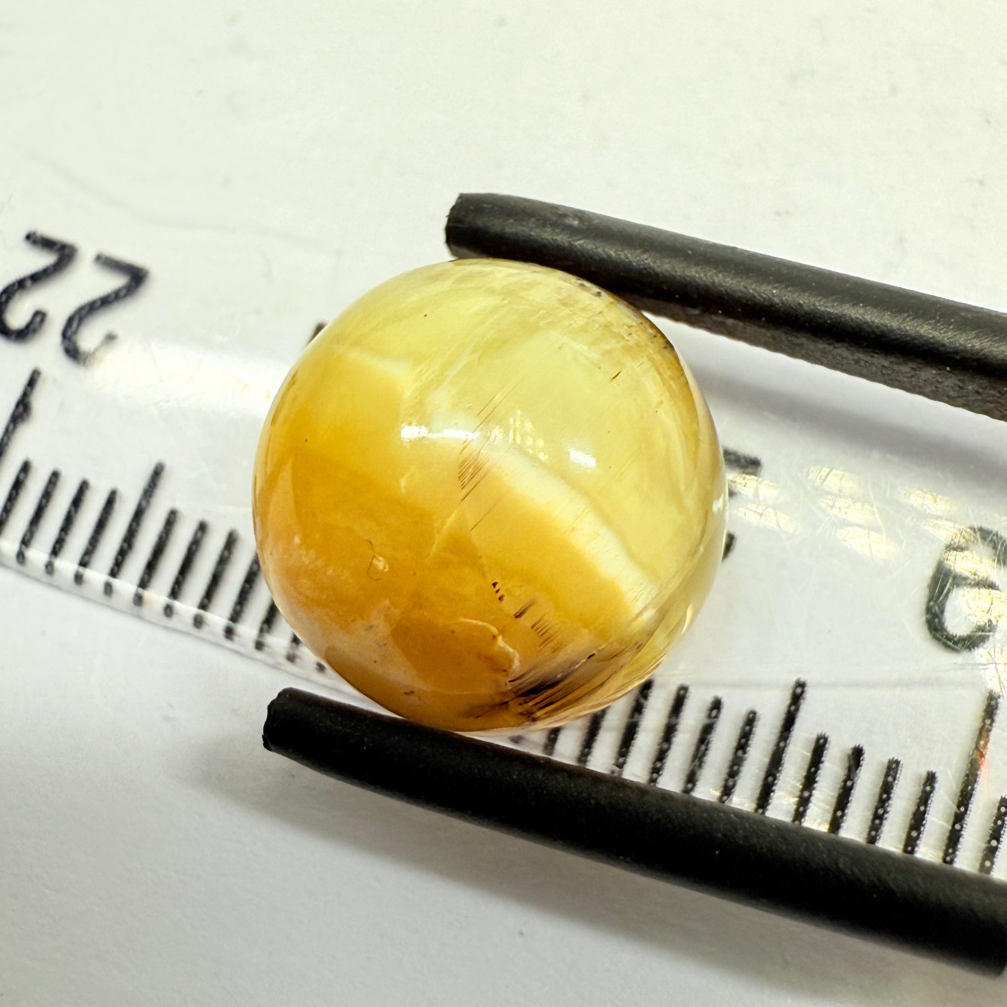 Cats-Eye Opal, 6.44ct, Tanzania, Untreated Unheated