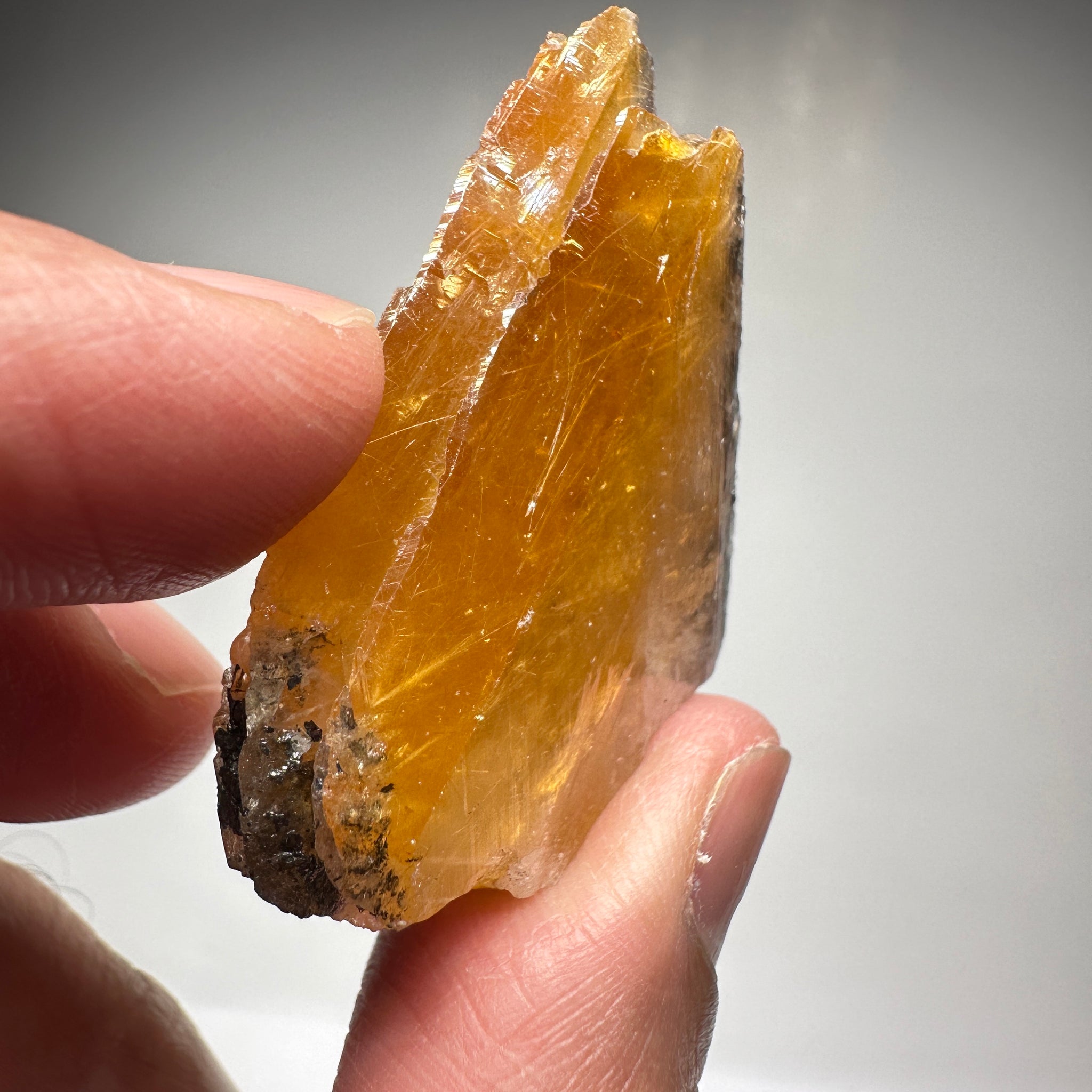 Magnesio Axinite, 22.70gm, Crystal, Merelani, Tanzania. 48.0 x 33.10 x 10.7mm, Untreated Unheated