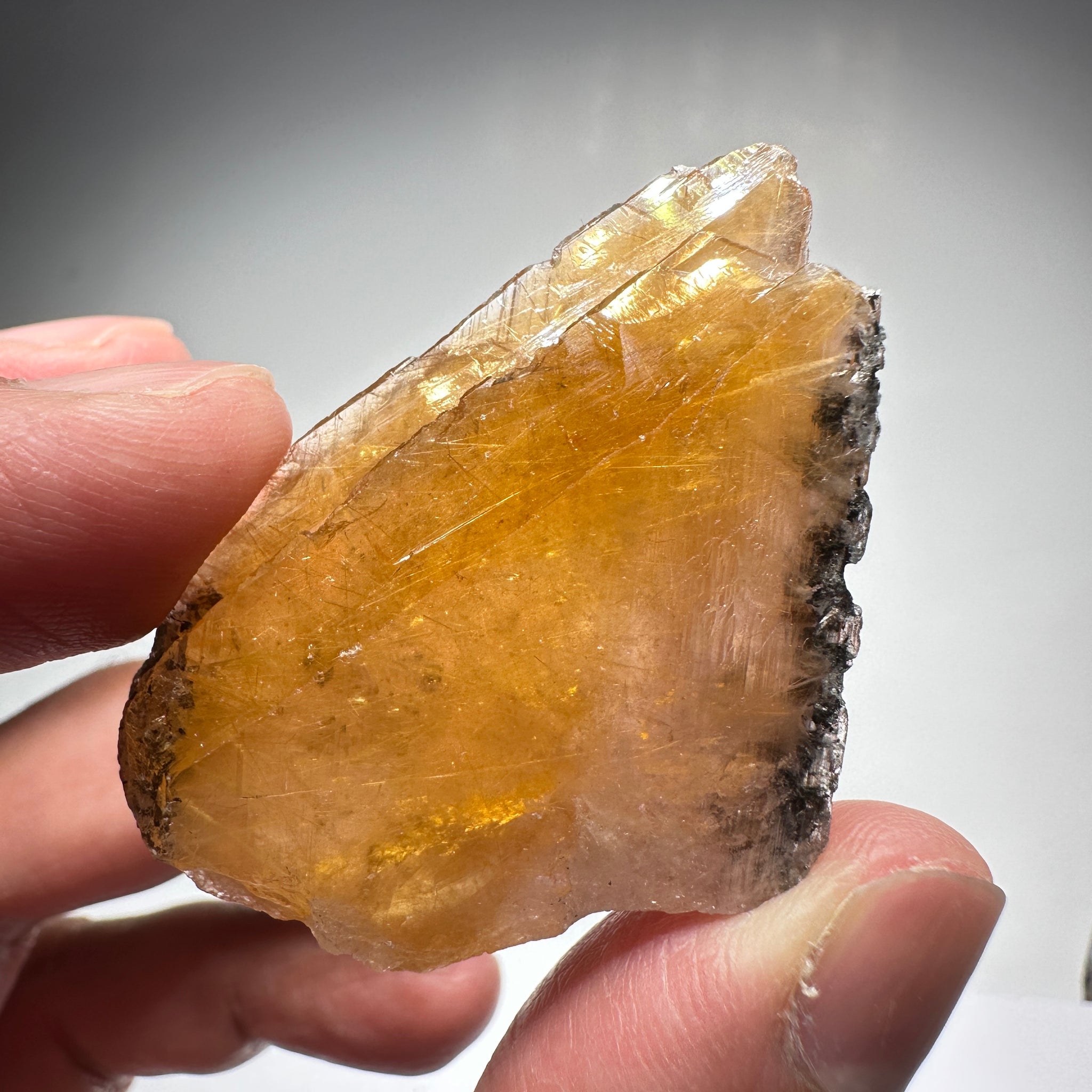 Magnesio Axinite, 22.70gm, Crystal, Merelani, Tanzania. 48.0 x 33.10 x 10.7mm, Untreated Unheated