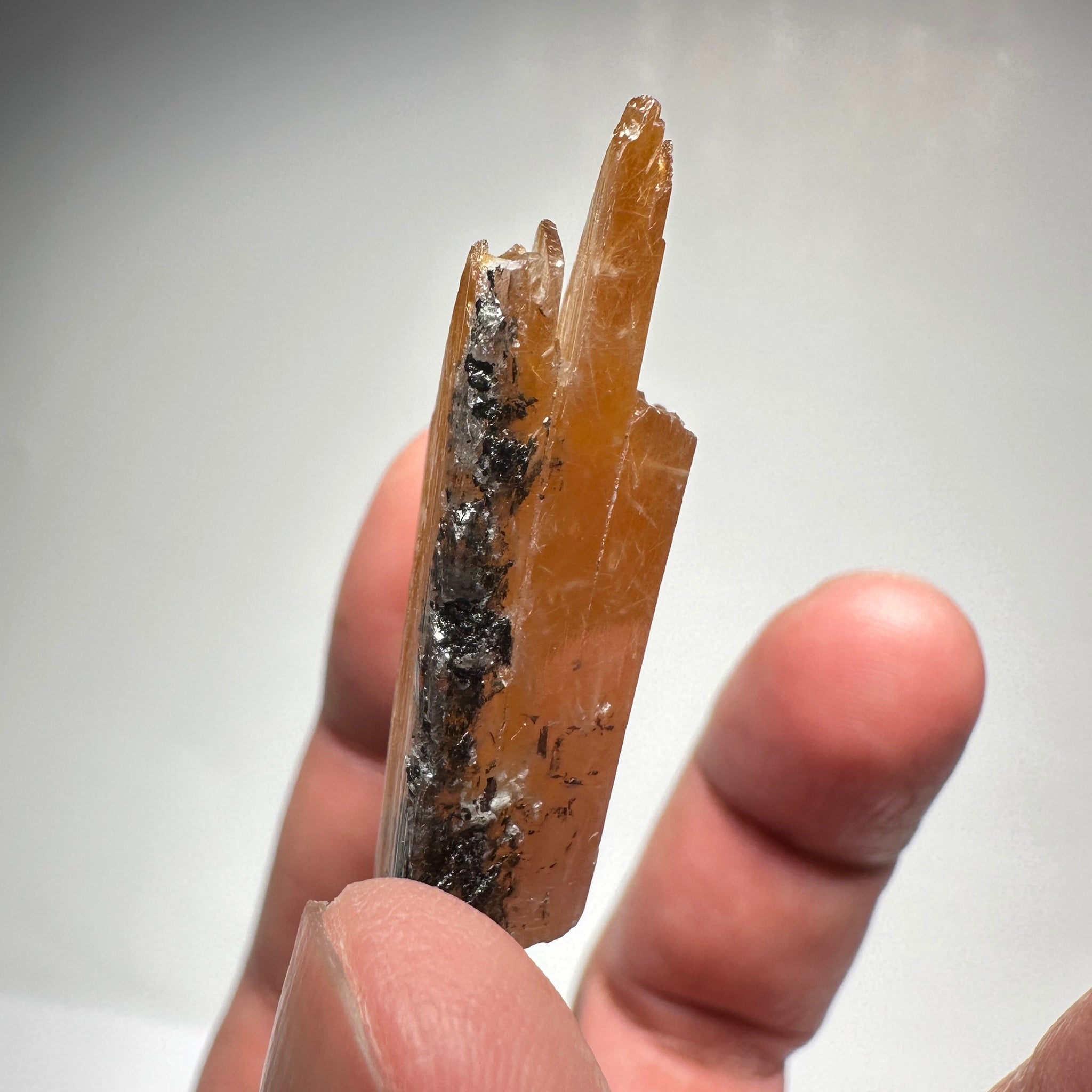 Magnesio Axinite, 22.70gm, Crystal, Merelani, Tanzania. 48.0 x 33.10 x 10.7mm, Untreated Unheated