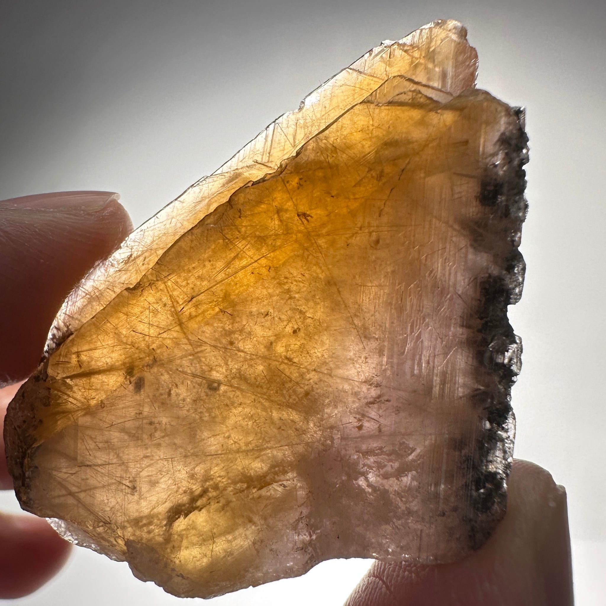 Magnesio Axinite, 22.70gm, Crystal, Merelani, Tanzania. 48.0 x 33.10 x 10.7mm, Untreated Unheated