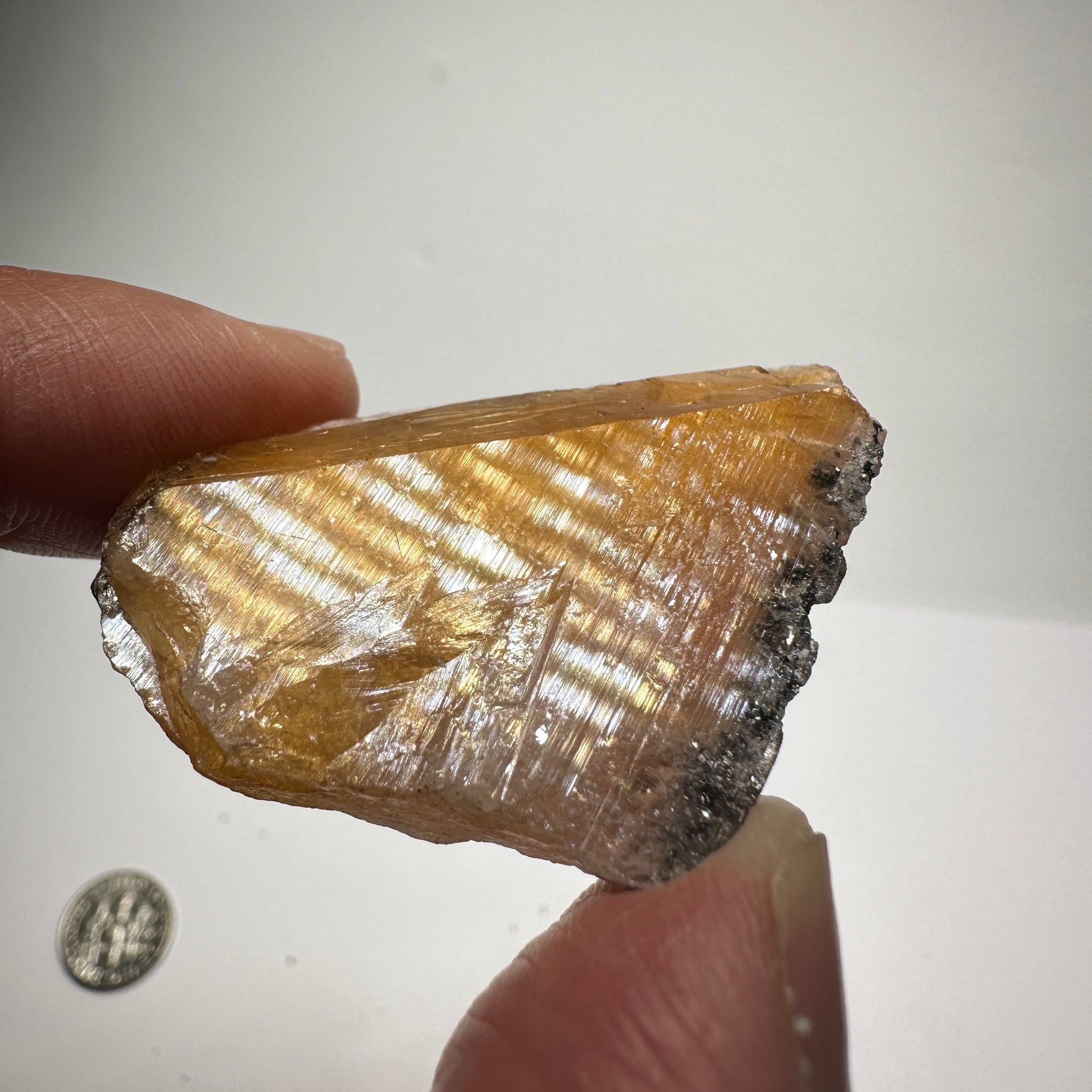 Magnesio Axinite, 22.70gm, Crystal, Merelani, Tanzania. 48.0 x 33.10 x 10.7mm, Untreated Unheated