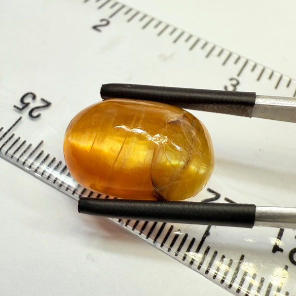 Cats-Eye Opal, 9.64ct, Tanzania, Untreated Unheated