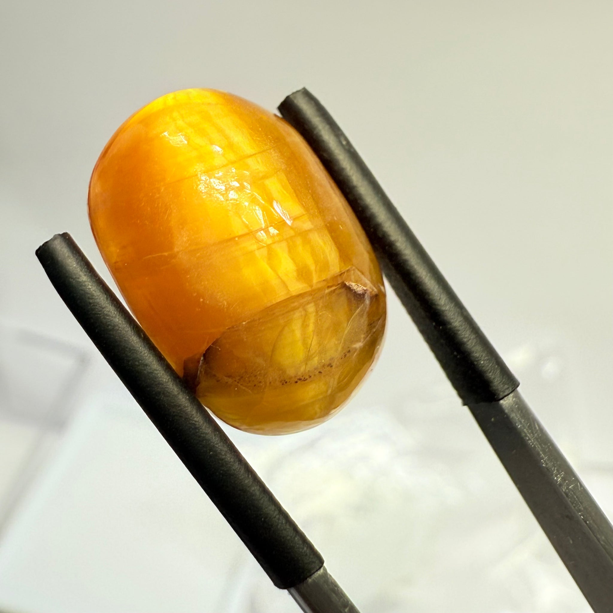 Cats-Eye Opal, 9.64ct, Tanzania, Untreated Unheated