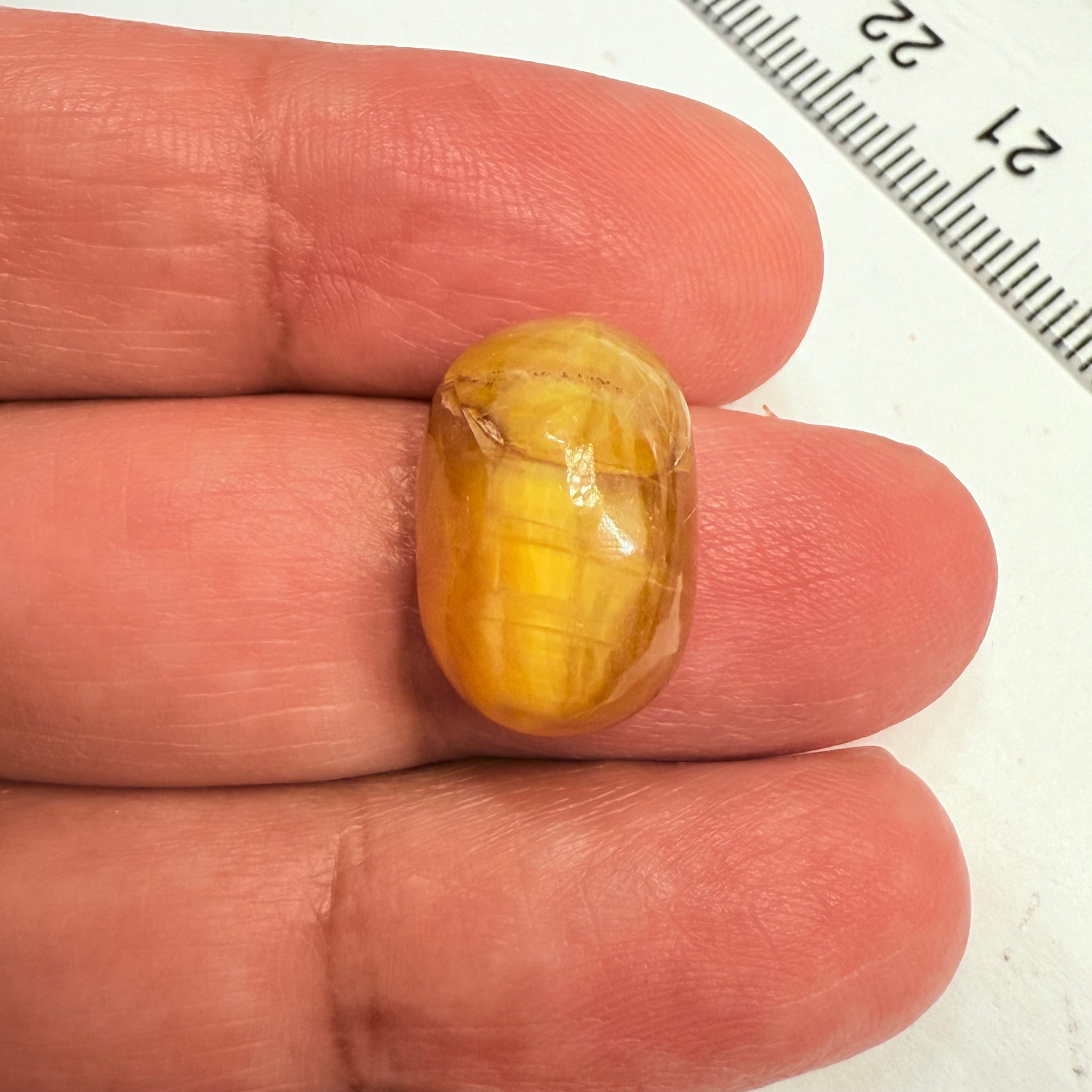 Cats-Eye Opal, 9.64ct, Tanzania, Untreated Unheated