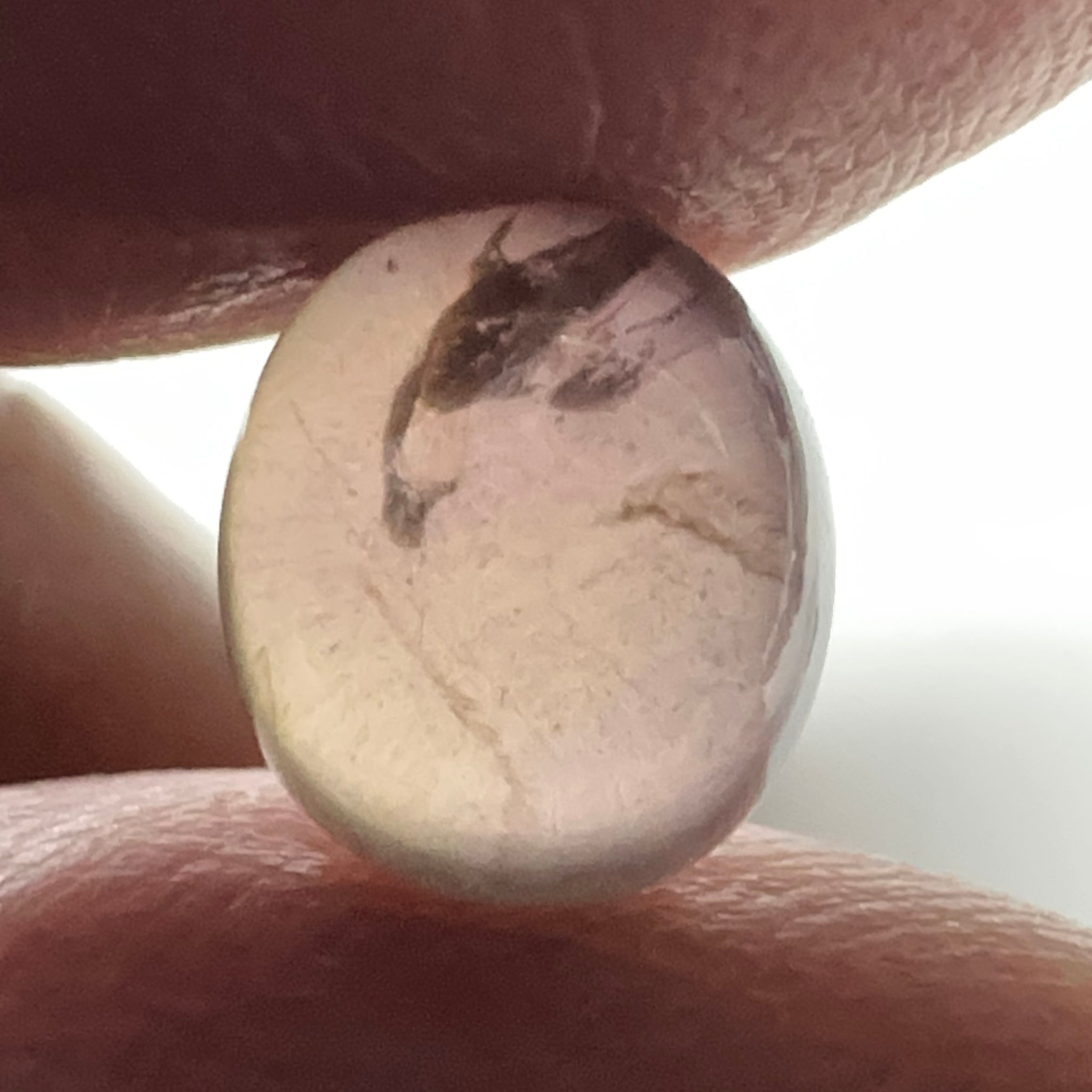 Colour Change Sapphire Cabochon, 3.52ct, Umba Valley, Tanzania. Untreated Unheated. Seems to have silk that appears as a moving spot