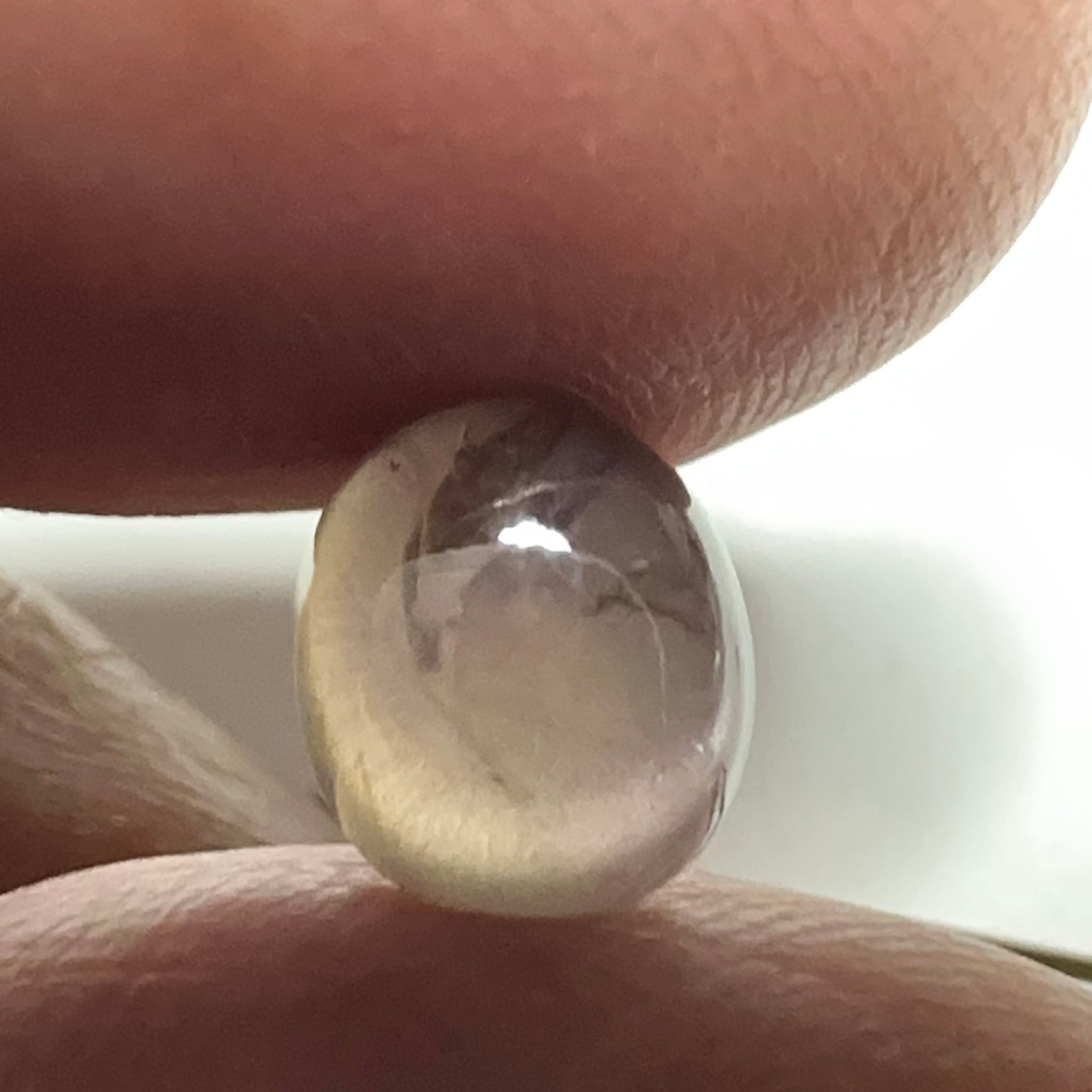 Colour Change Sapphire Cabochon, 3.52ct, Umba Valley, Tanzania. Untreated Unheated. Seems to have silk that appears as a moving spot