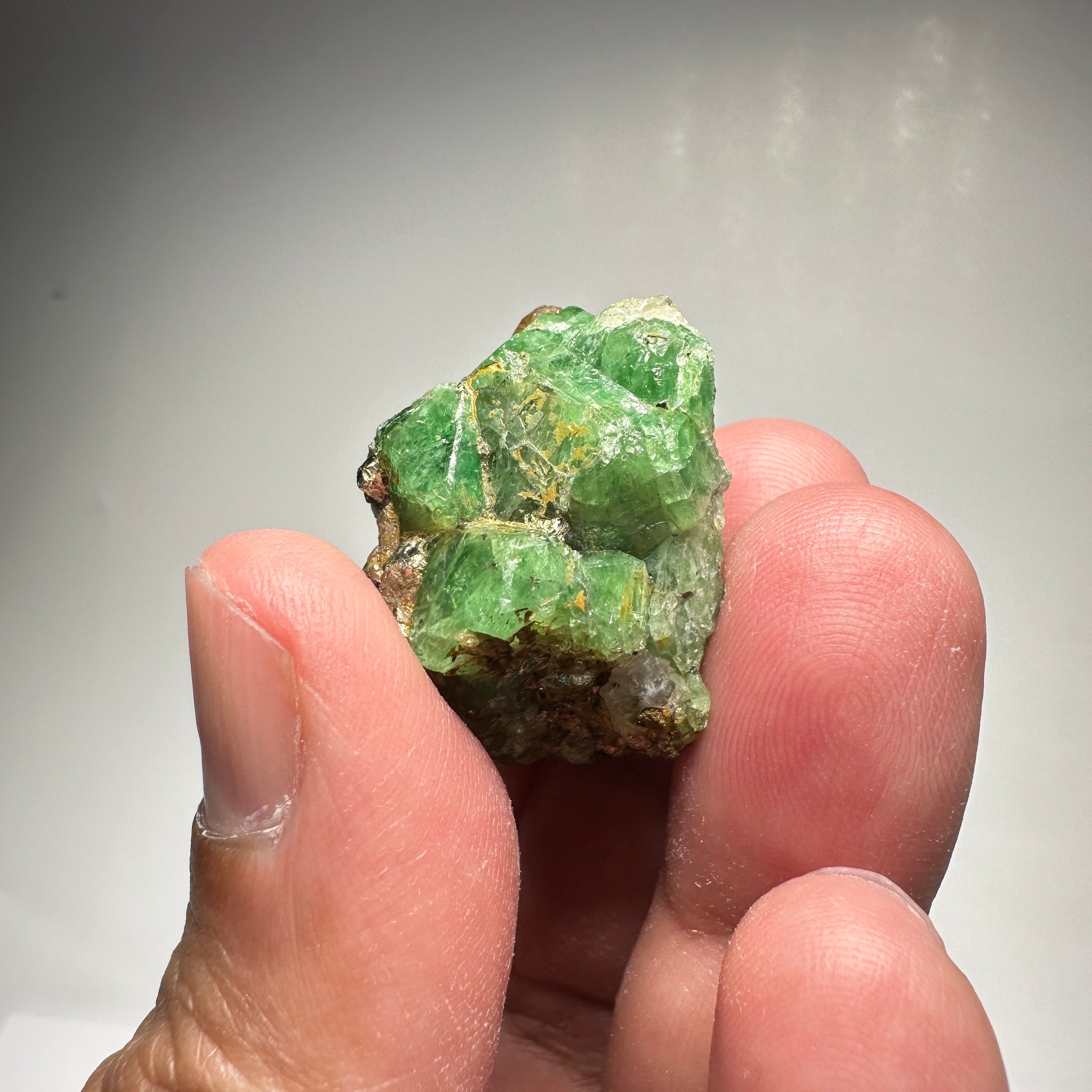 Tsavorite Crystal With Tanzanite And Pyrite on Matrix, 24.50gm / 122.50ct, Merelani, Tanzania. 28 x 22 x 21mm