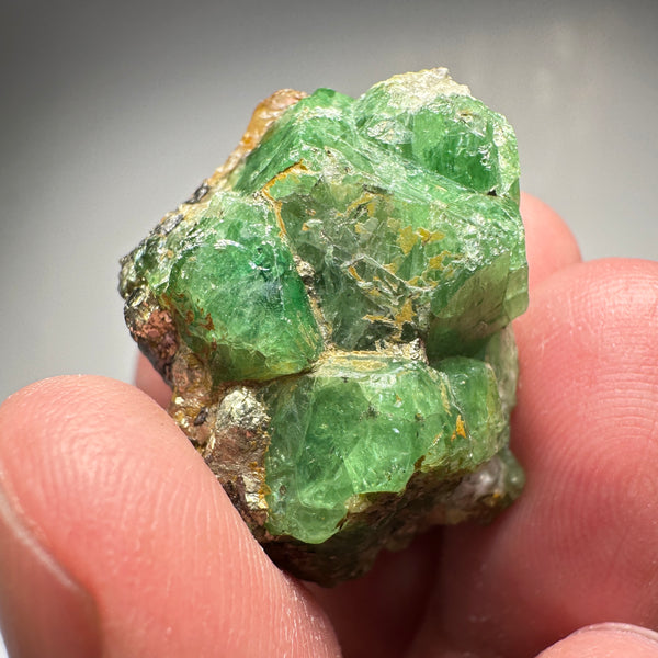 Tsavorite Crystal With Tanzanite And Pyrite on Matrix, 24.50gm / 122.50ct, Merelani, Tanzania. 28 x 22 x 21mm