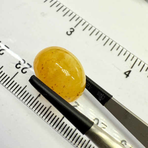 Opal, 11.96ct, Tanzania, Untreated Unheated