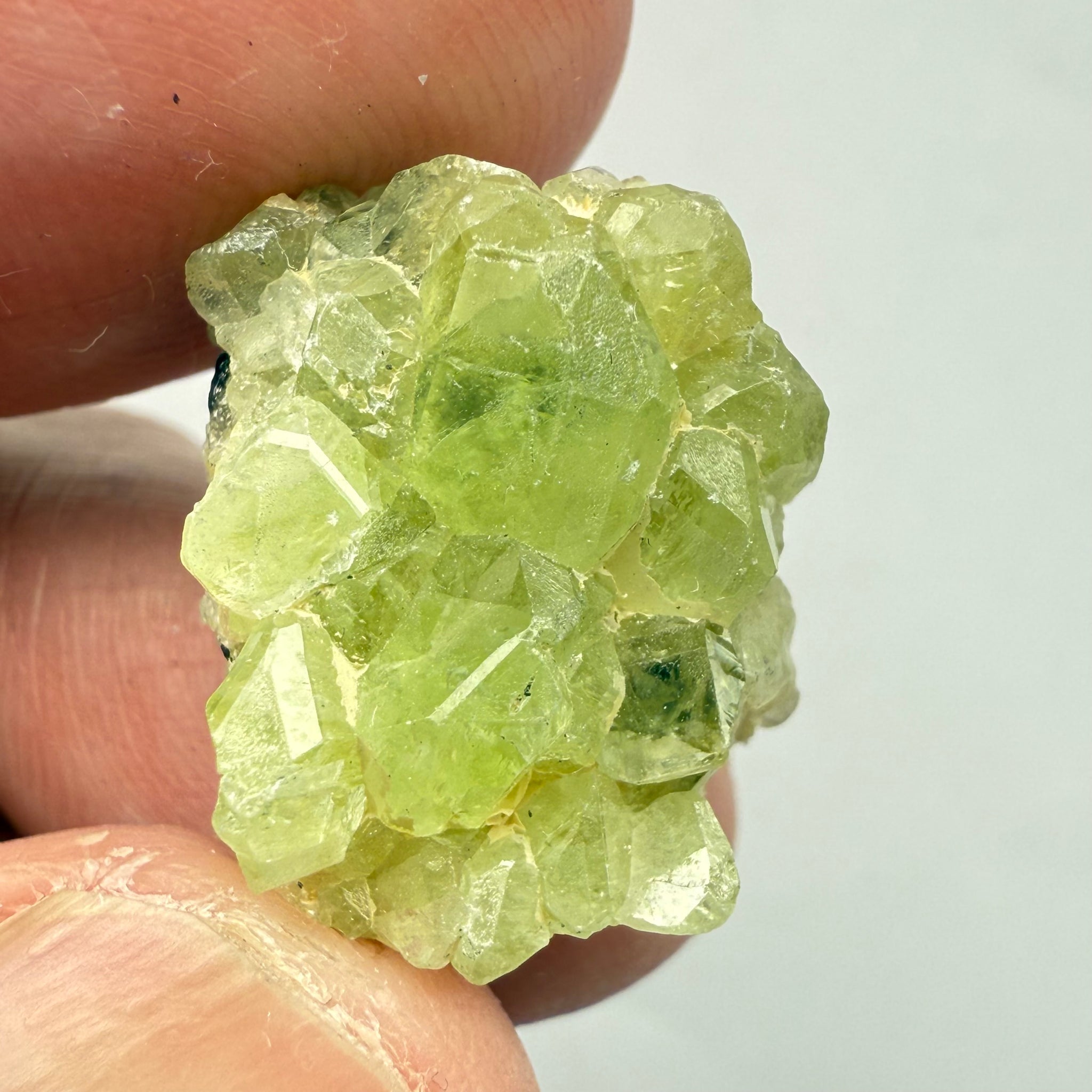 Diopside Crystal, 23.48ct Tanzania, Untreated Unheated