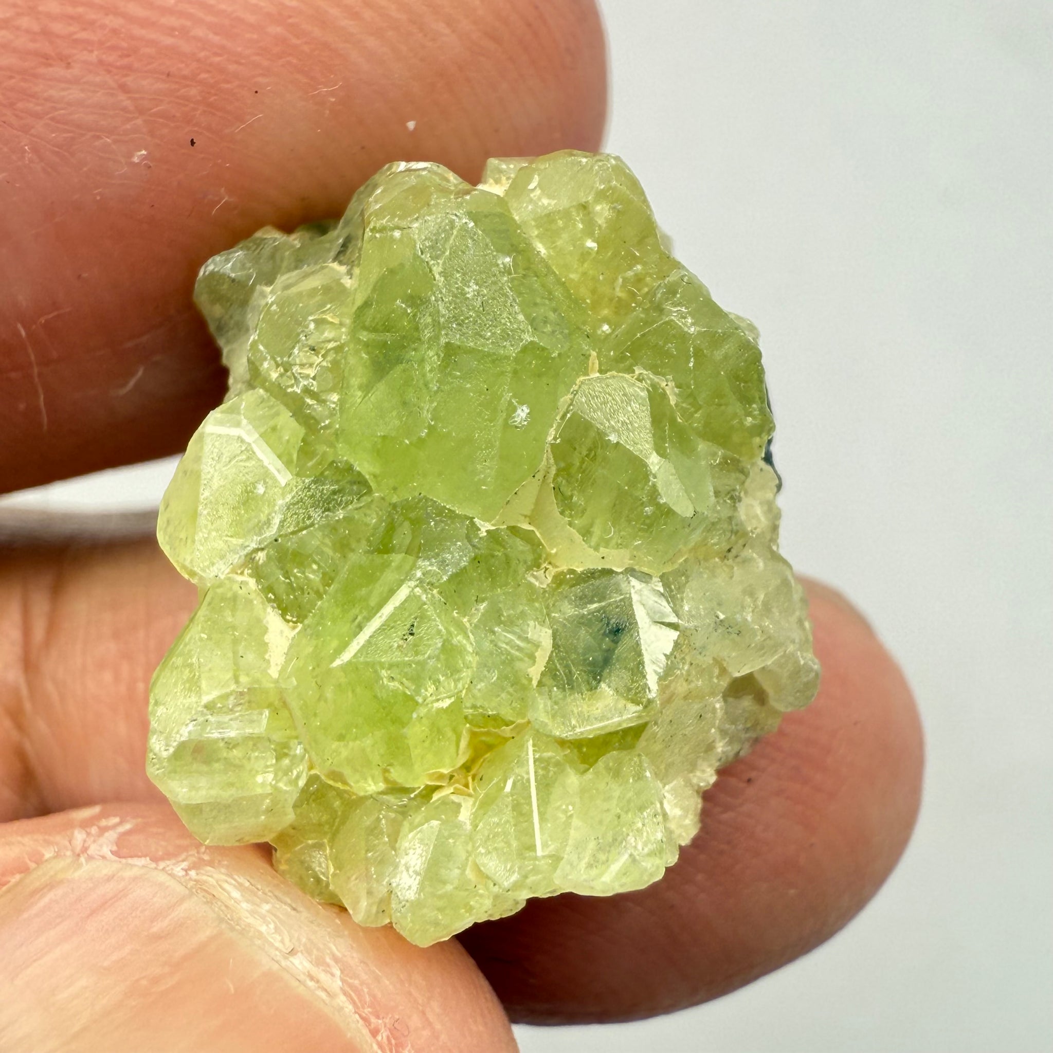 Diopside Crystal, 23.48ct Tanzania, Untreated Unheated